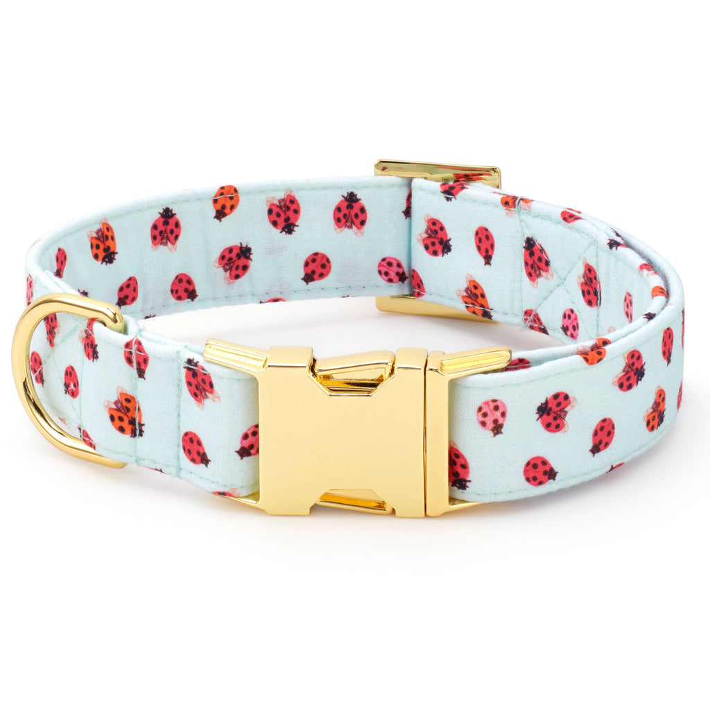 Love Bug Dog Collar