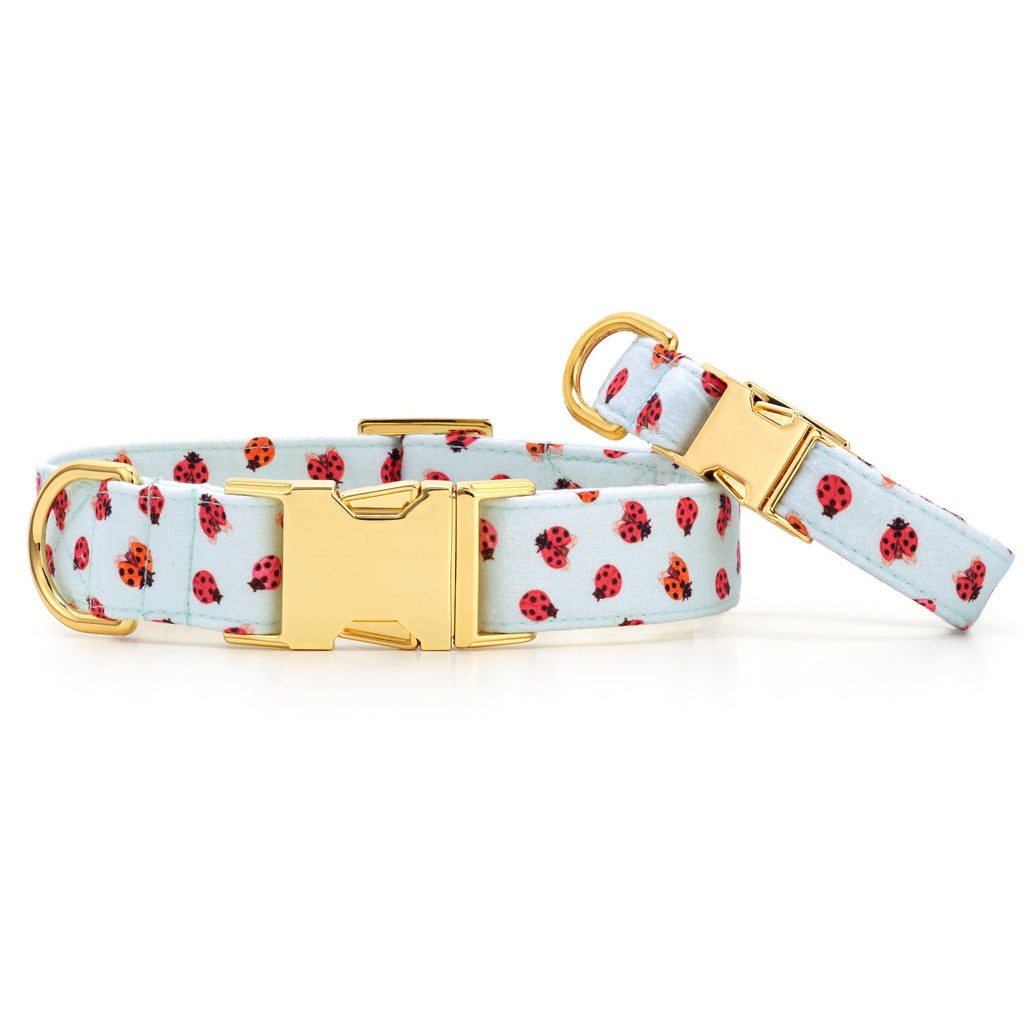 Love Bug Dog Collar