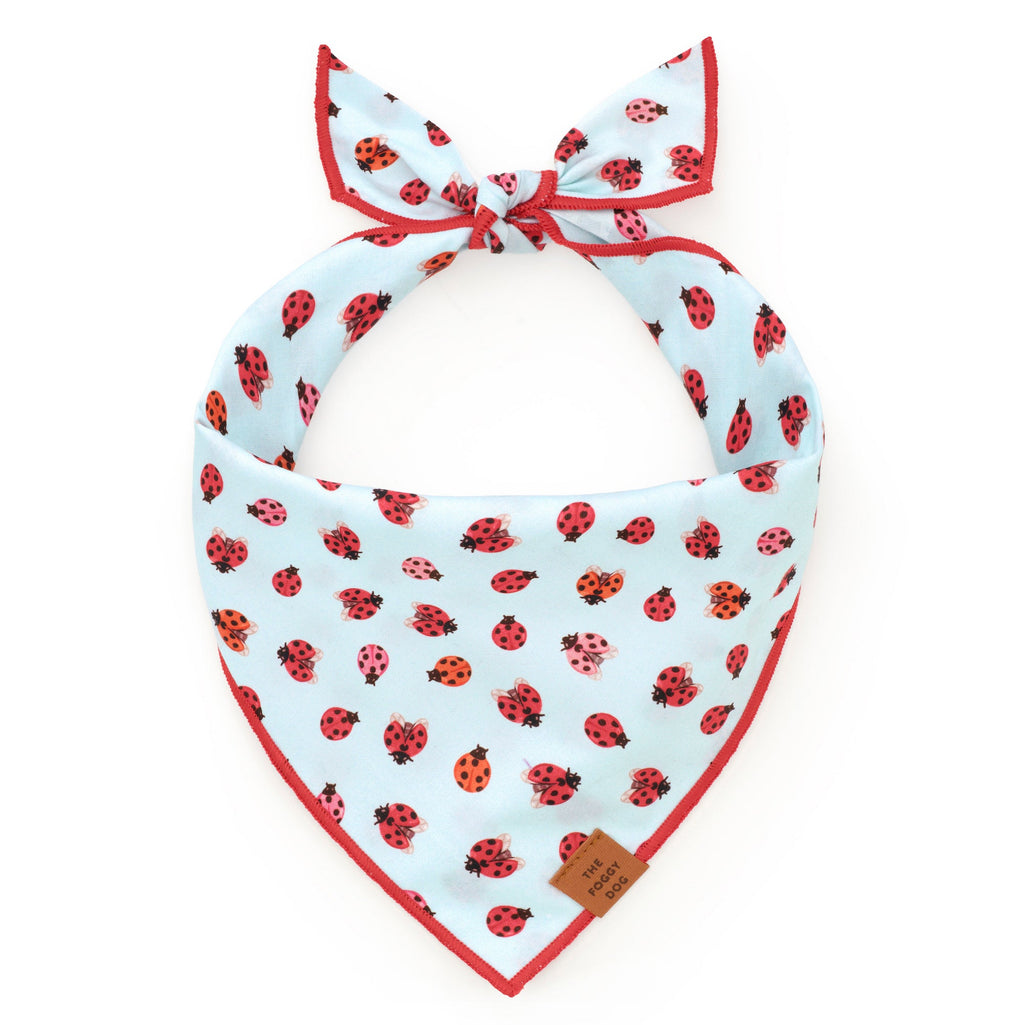 Love Bug Dog Bandana