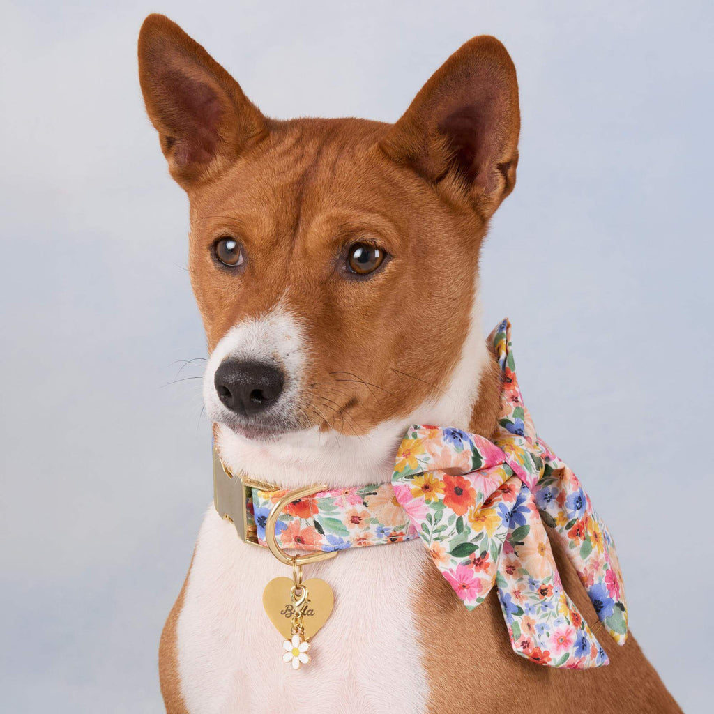 Margaux Lady Bow Collar