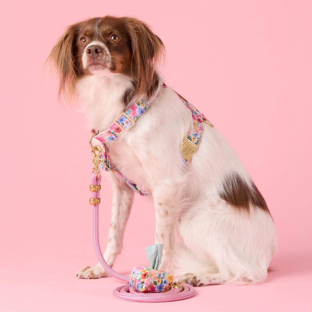 Margaux Dog Harness