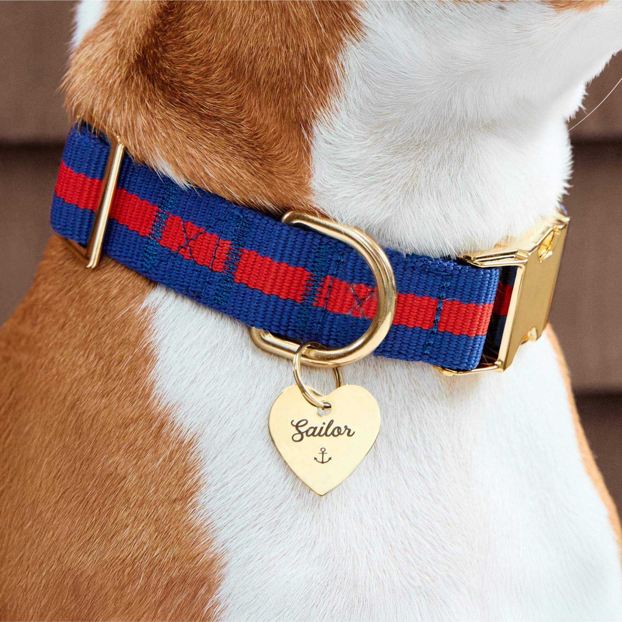 Mariner Striped Webbing Dog Collar