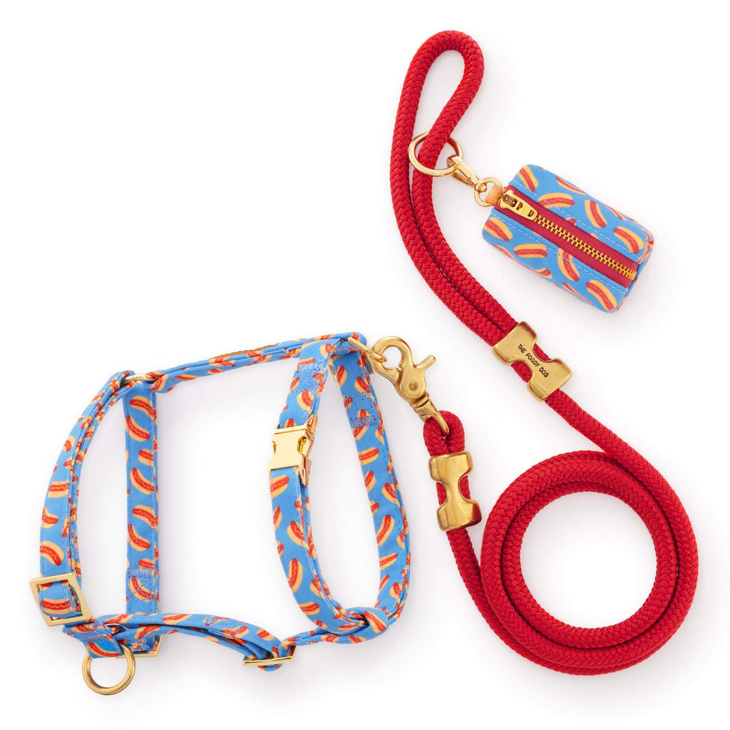 Hot Diggity Harness Walk Set