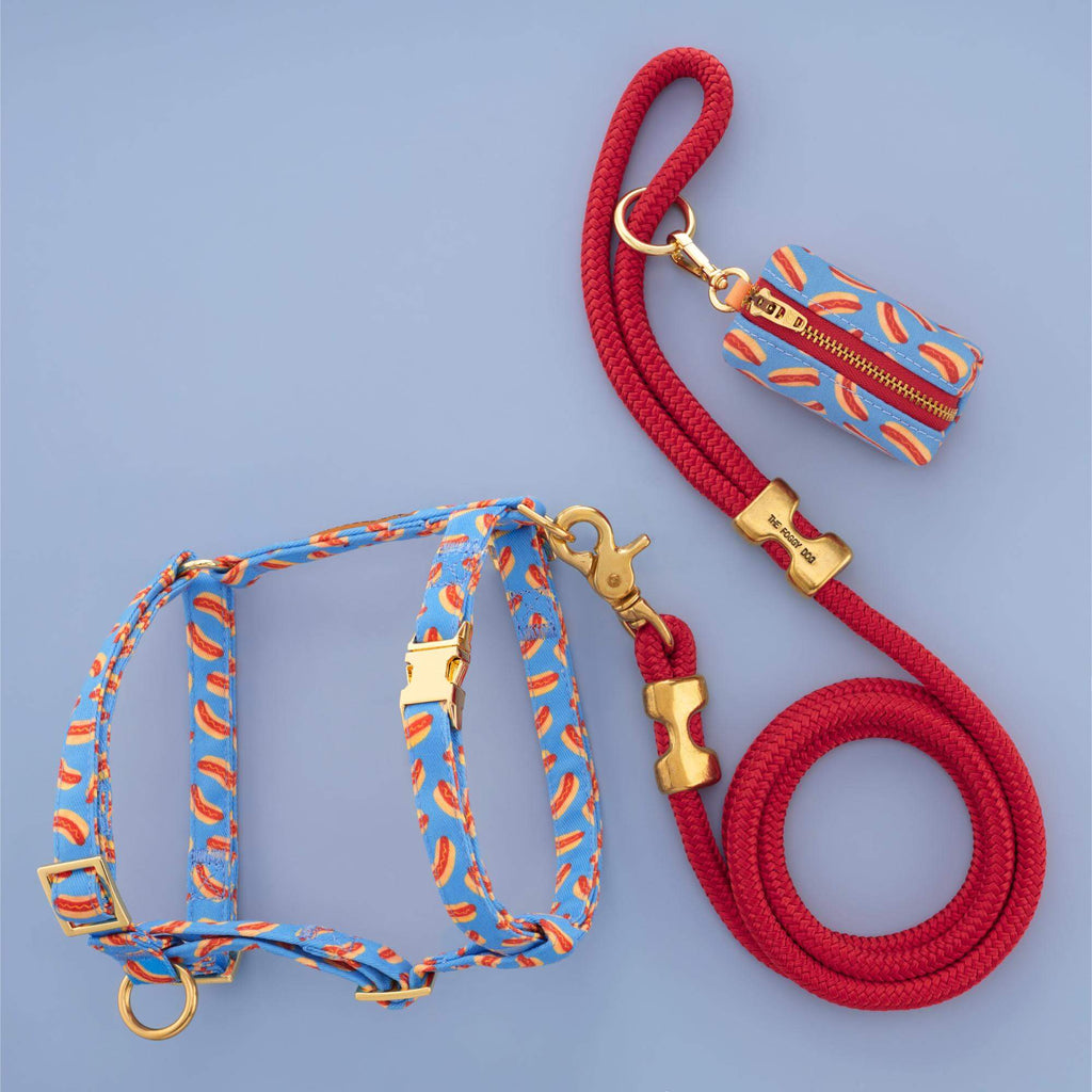 Hot Diggity Harness Walk Set