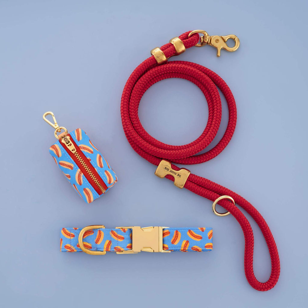 Hot Diggity Collar Walk Set