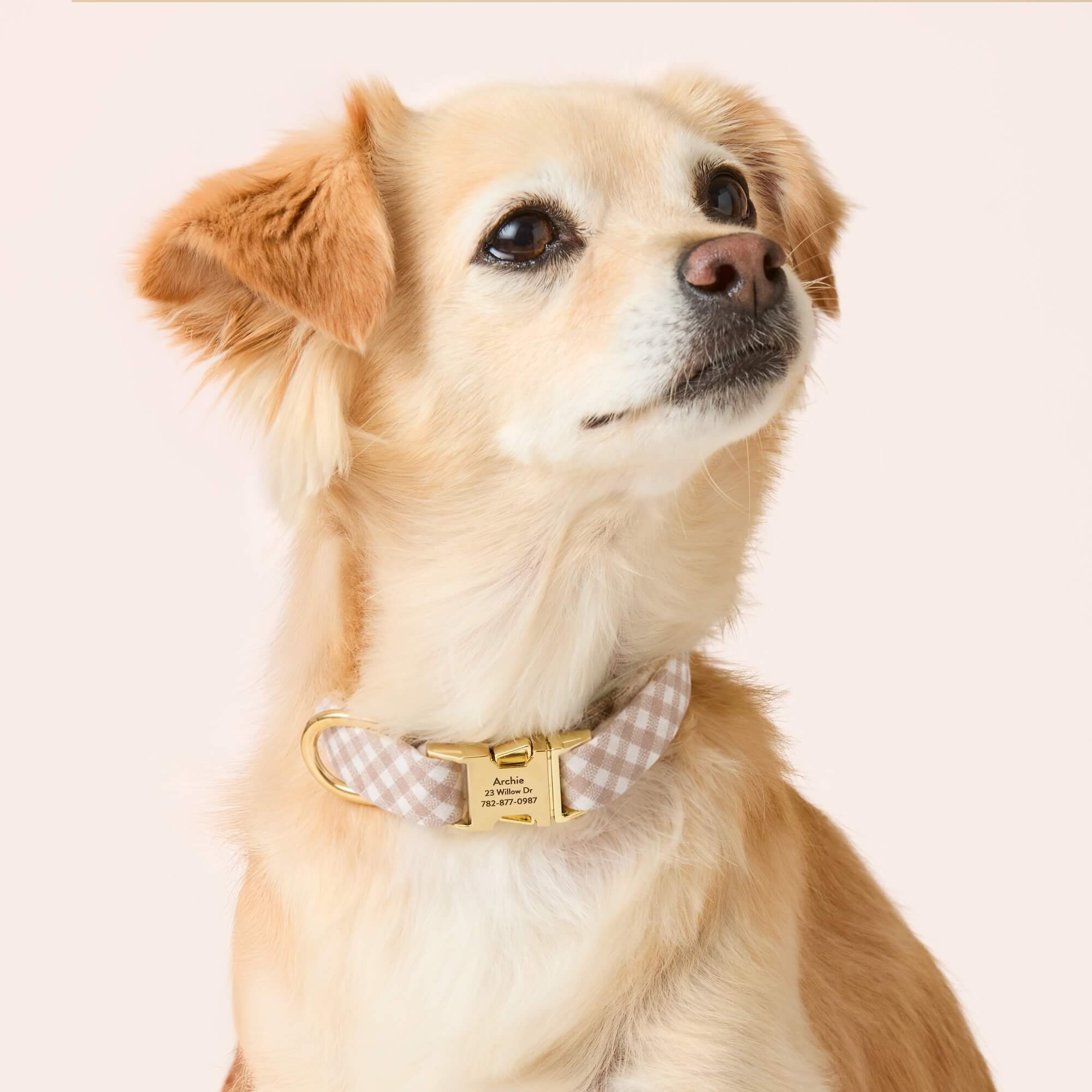 Mushroom Brown Gingham Dog Collar
