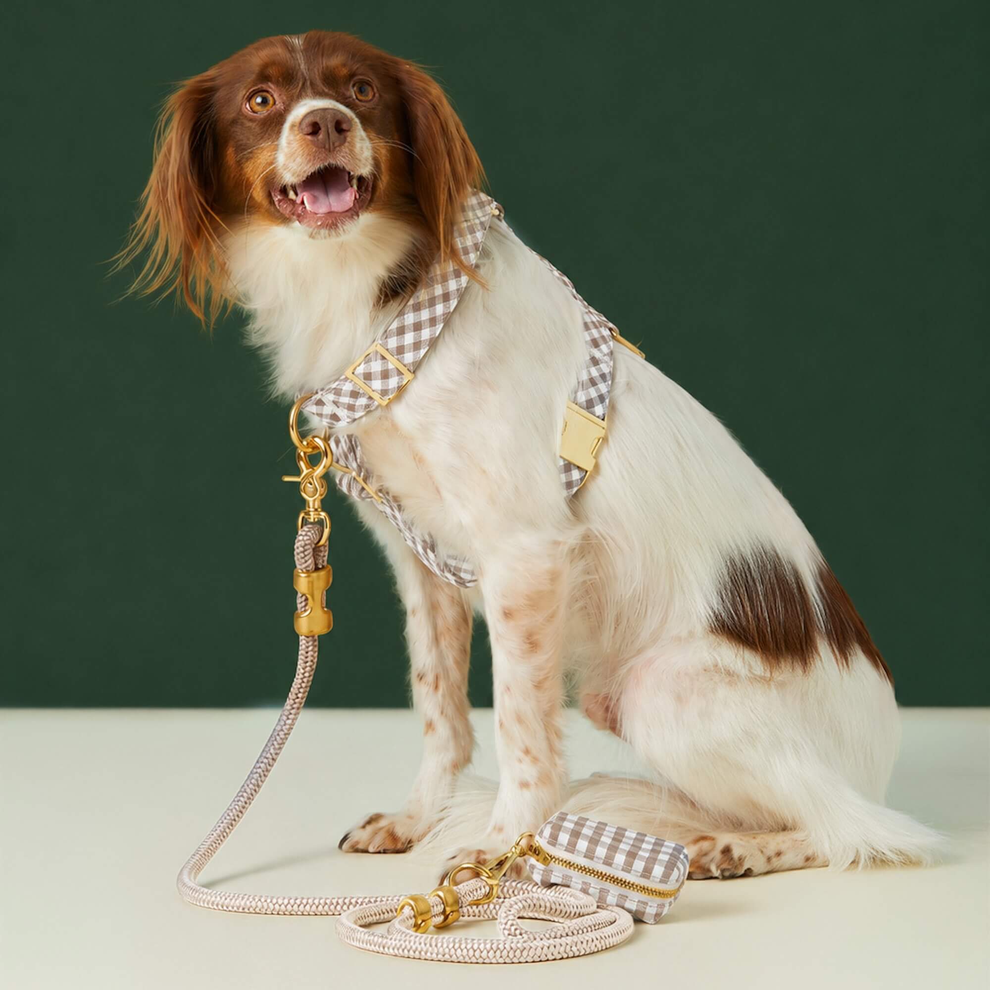 Mushroom Brown Gingham Harness Walk Set