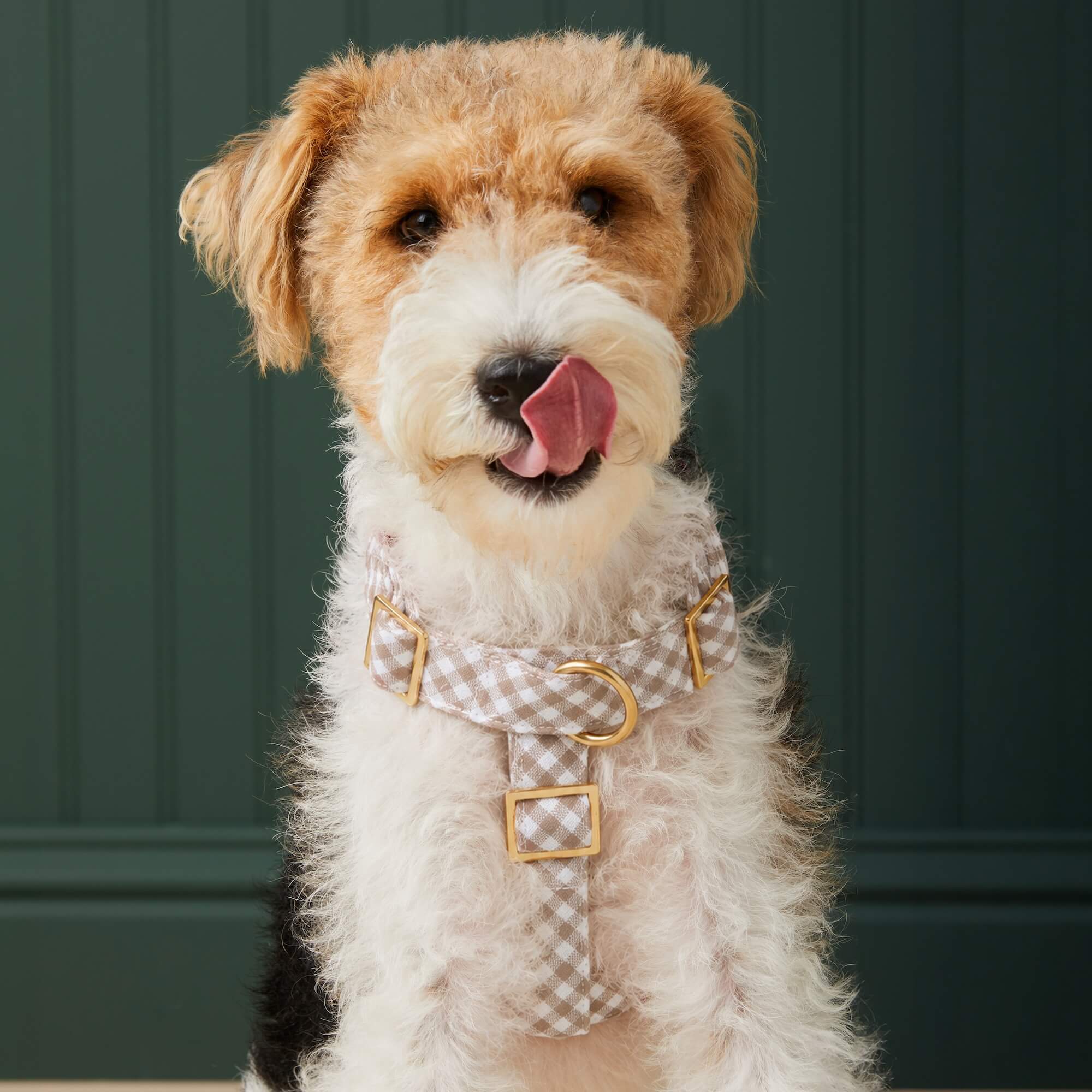 Mushroom Brown Gingham Dog Harness