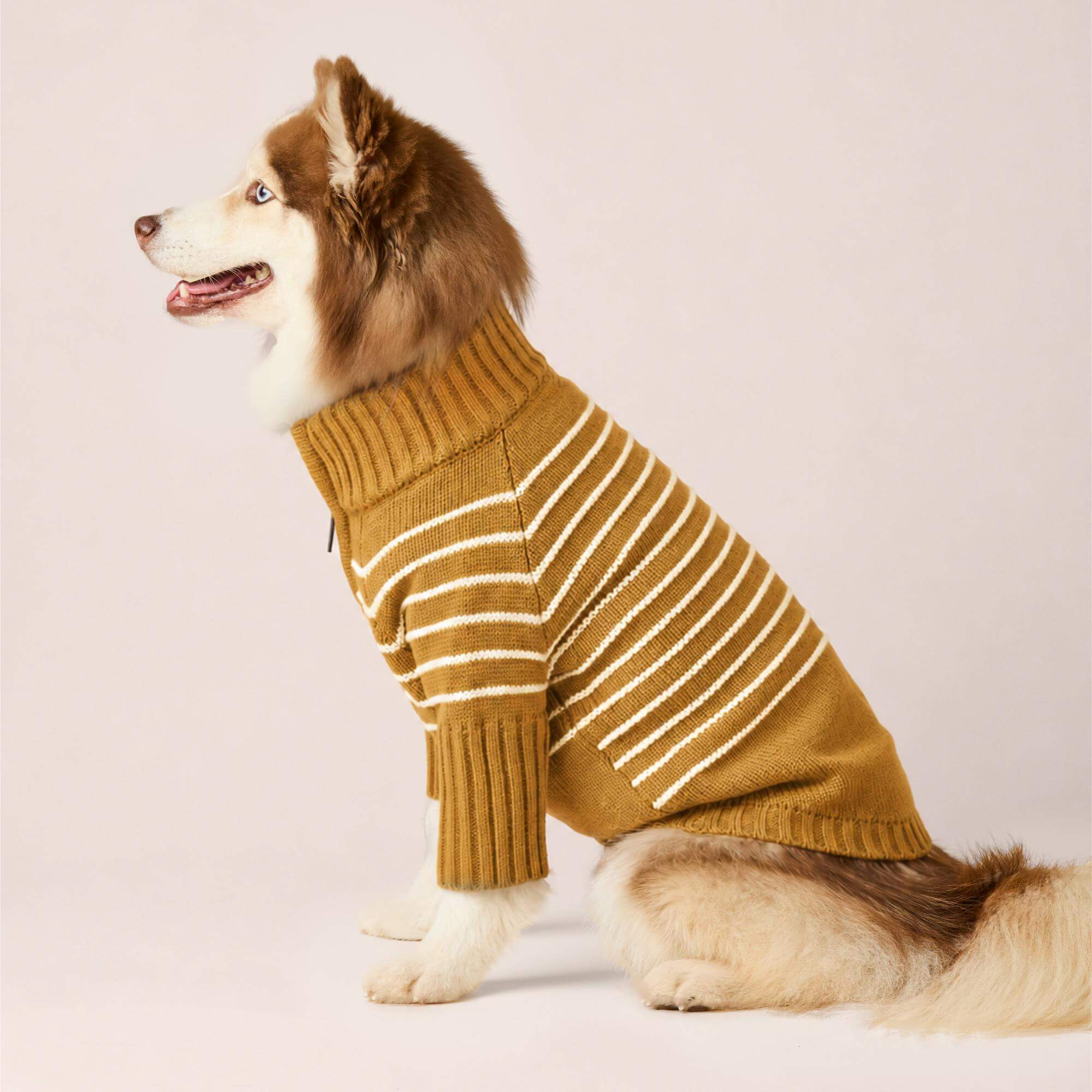 Mustard Stripe Quarter-Zip Dog Sweater