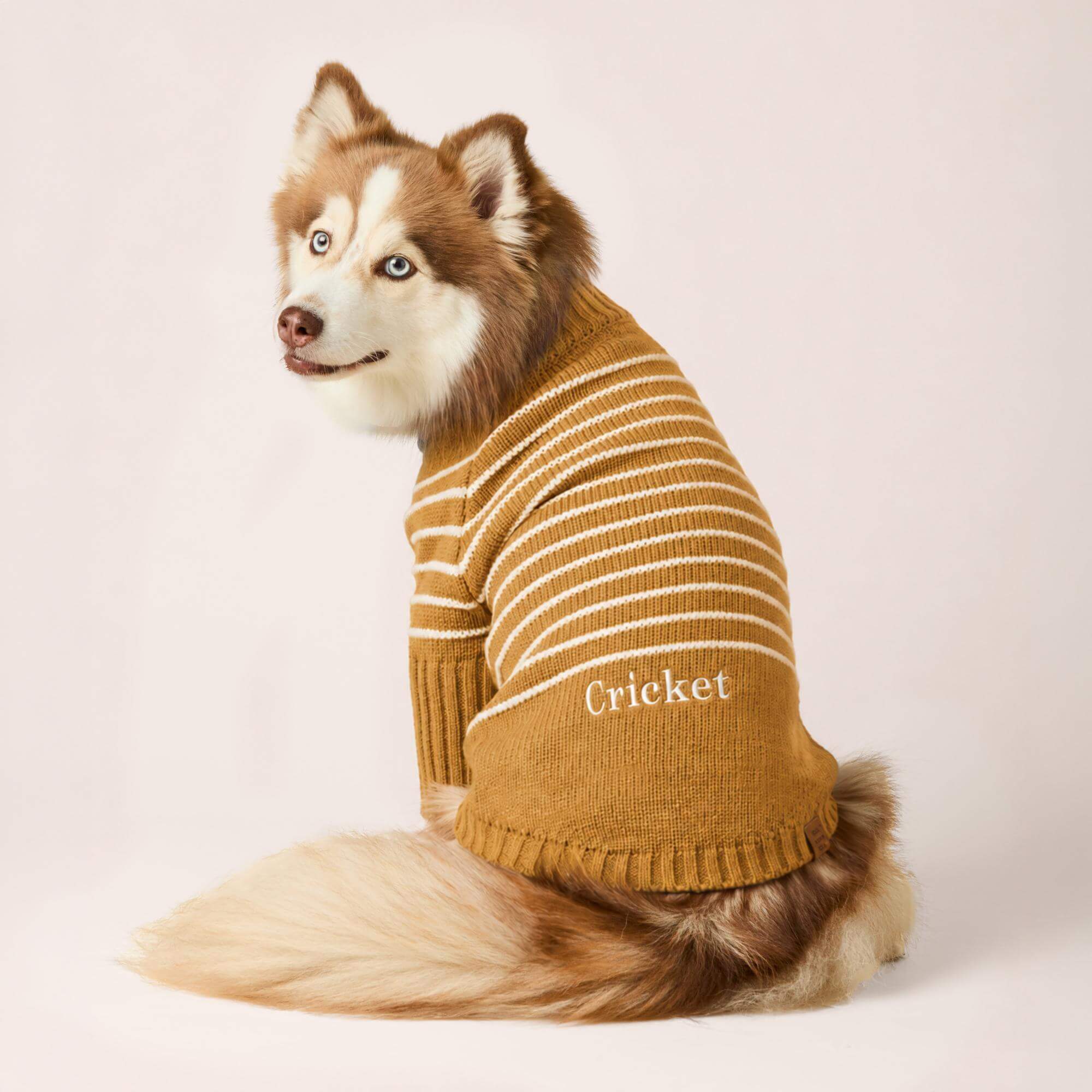 Mustard Stripe Quarter-Zip Dog Sweater