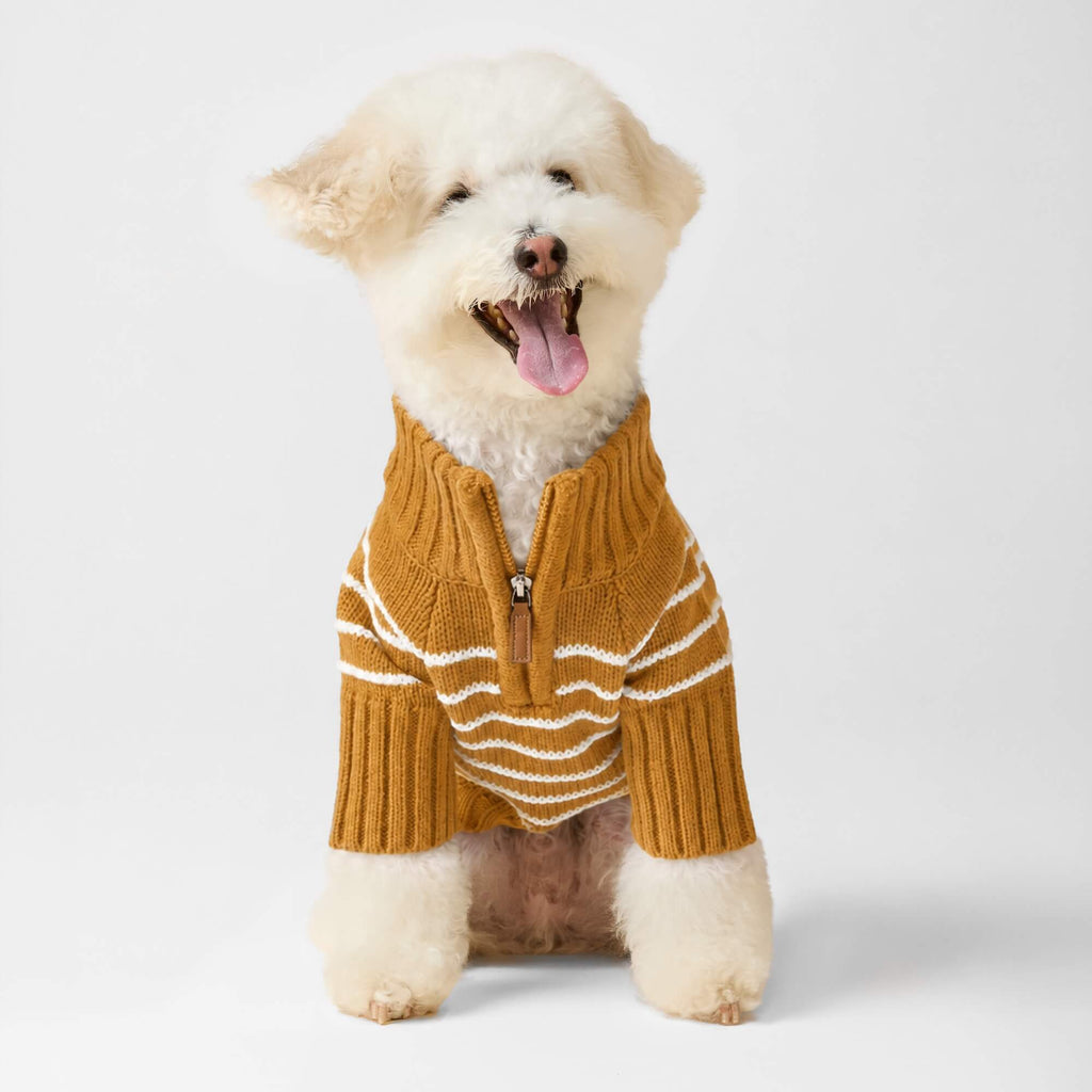 Mustard Stripe Quarter-Zip Dog Sweater