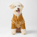 Mustard Stripe Quarter-Zip Dog Sweater