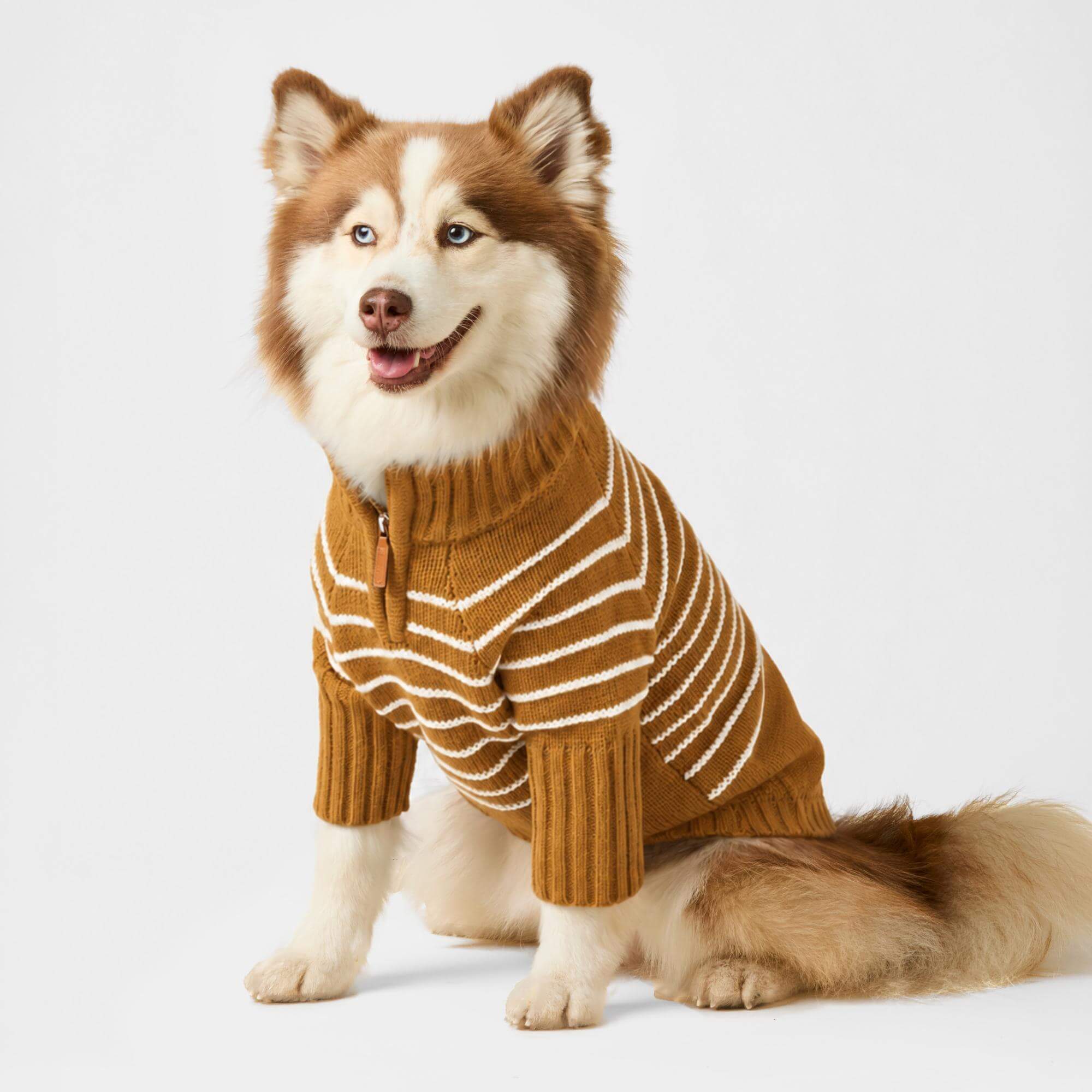 Mustard Stripe Quarter-Zip Dog Sweater