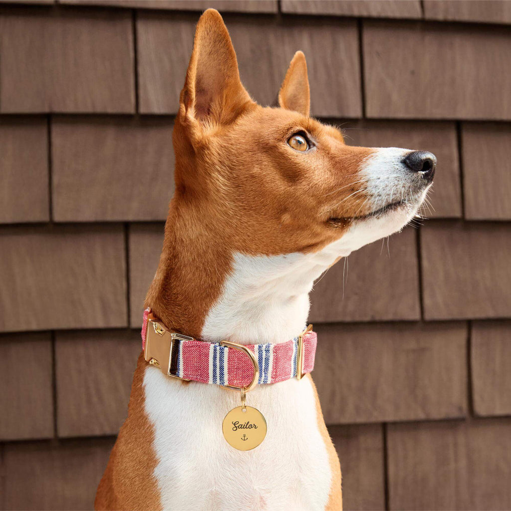 Nantucket Stripe Dog Collar