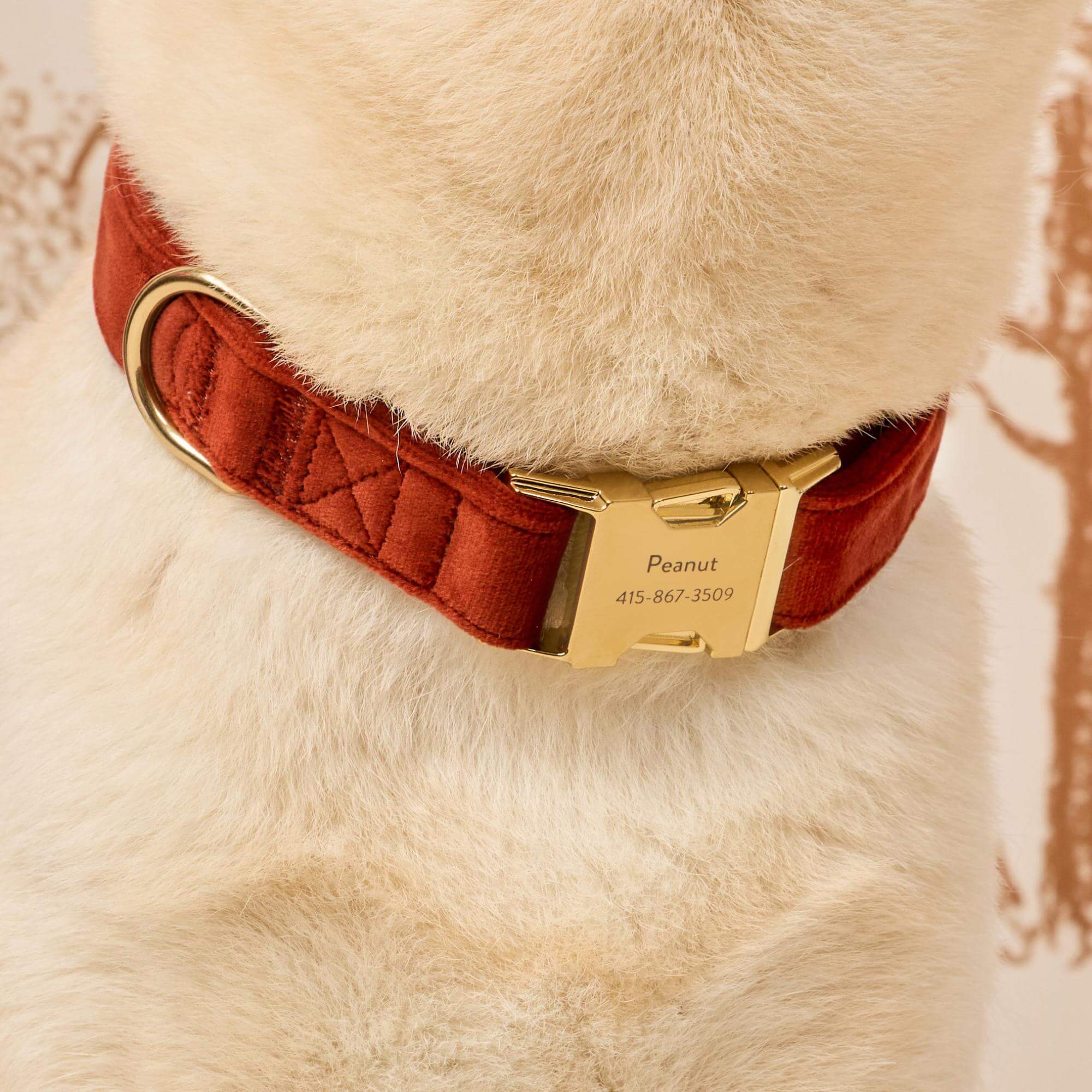 Nutmeg Velvet Dog Collar