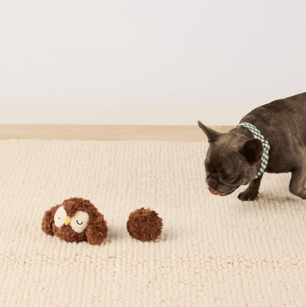 Owl 2-in-1 Bounce Dog Toy
