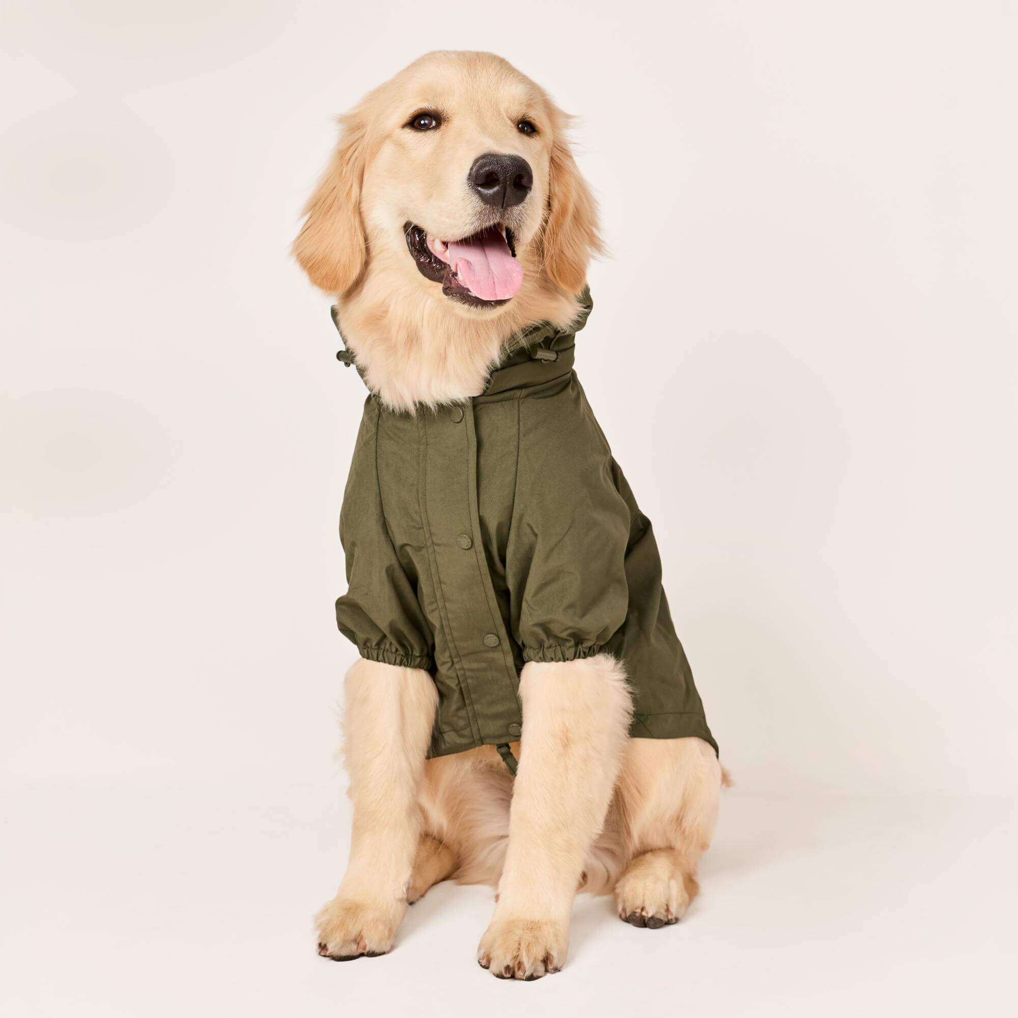 Olive Dog Raincoat