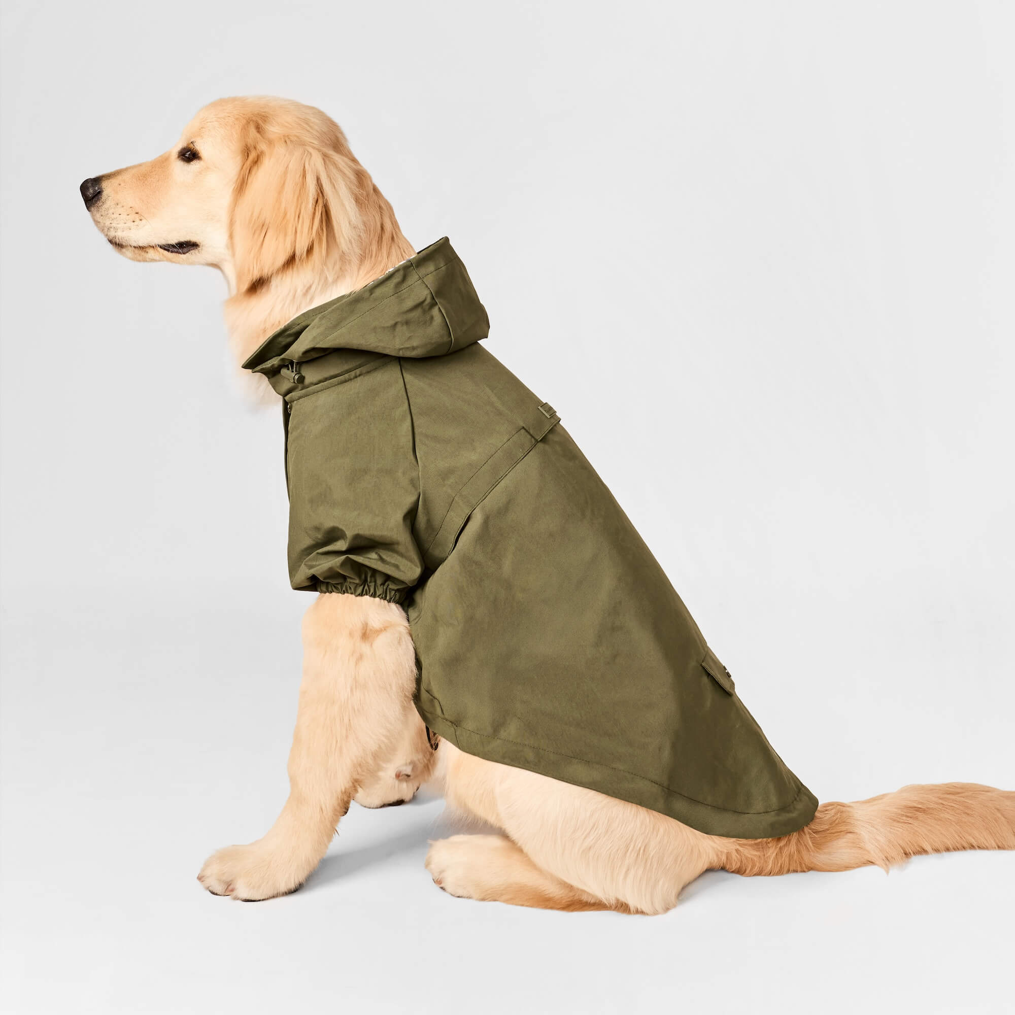 Olive Dog Raincoat