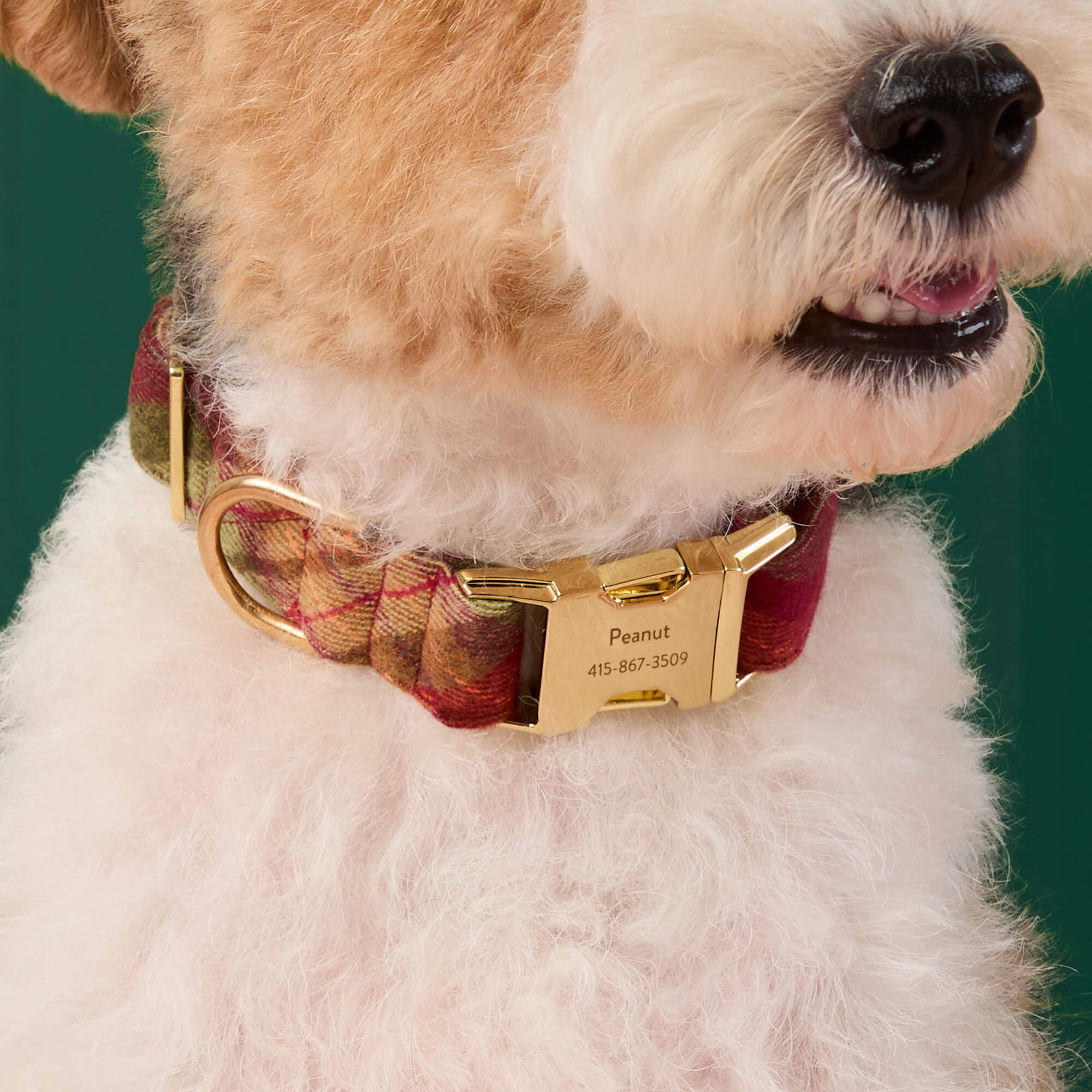Orchard Plaid Flannel Dog Collar