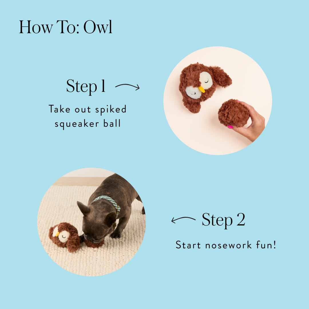Owl 2-in-1 Bounce Dog Toy
