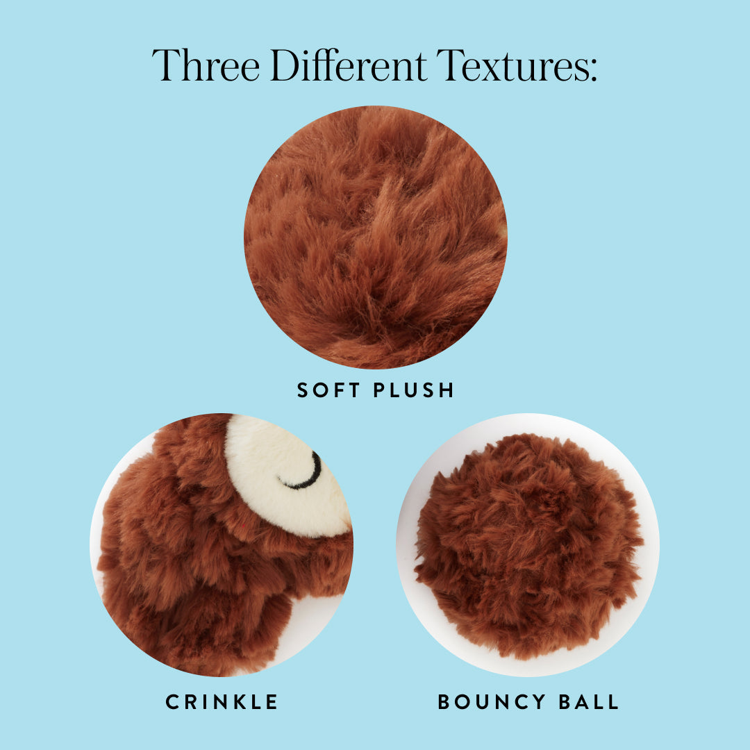 Owl 2-in-1 Bounce Dog Toy