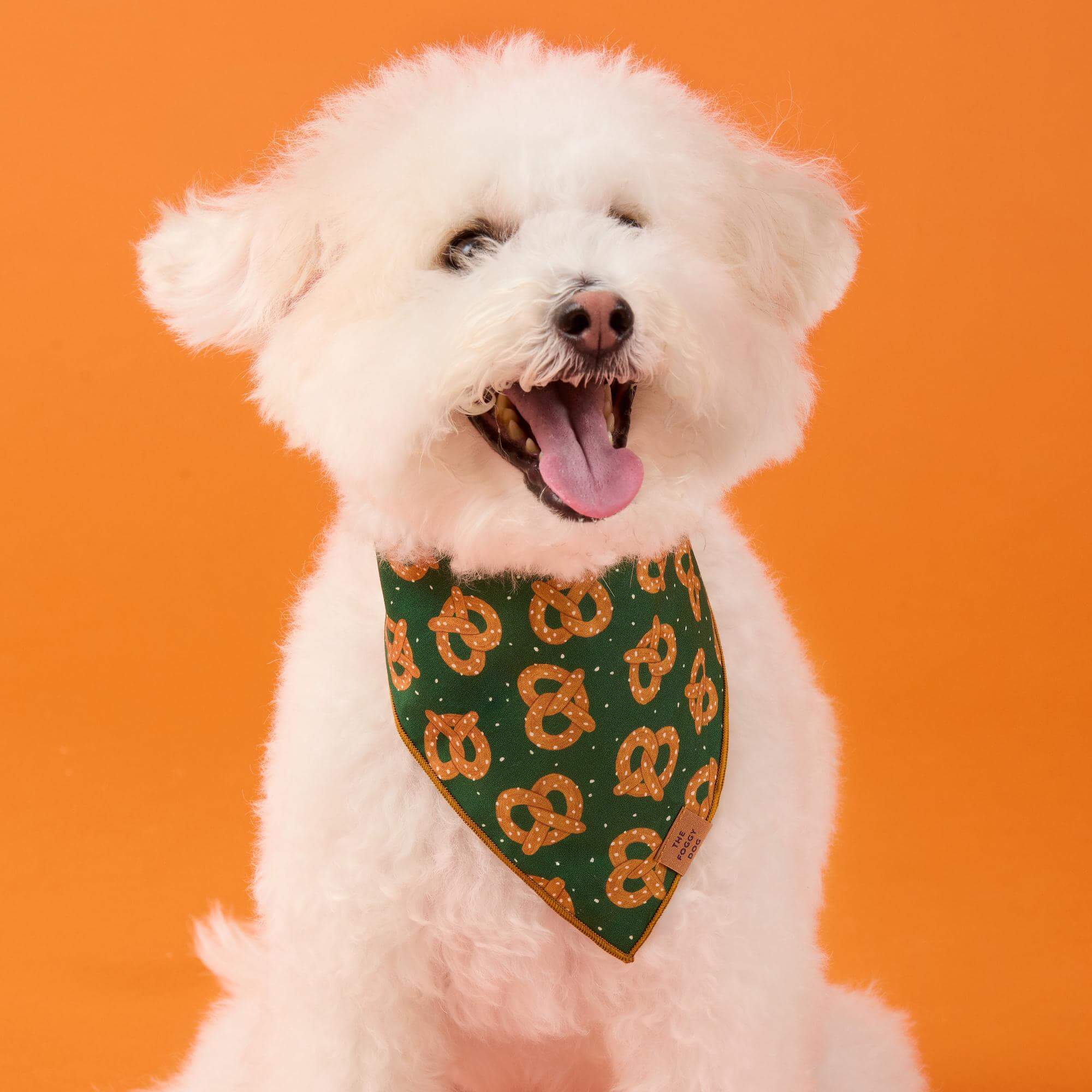Pretzel Party Dog Bandana