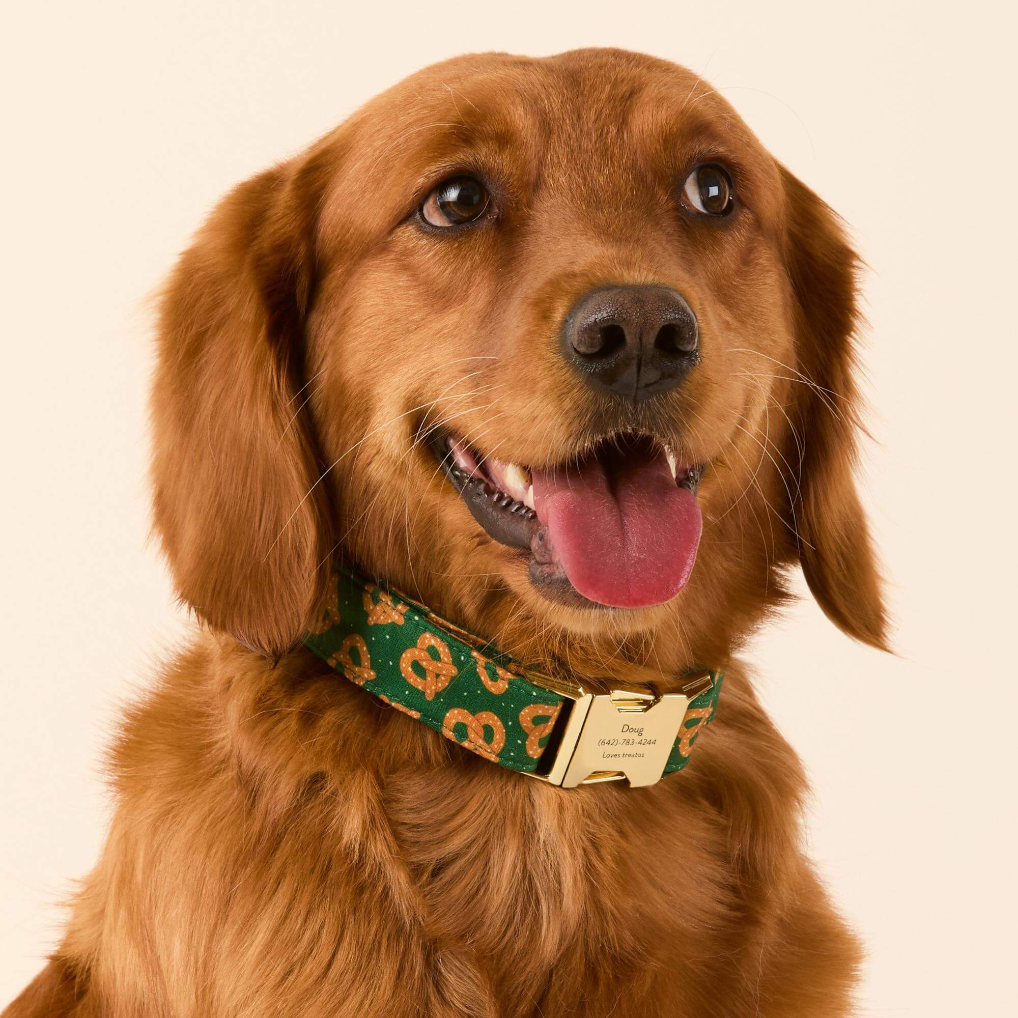 Pretzel Party Dog Collar