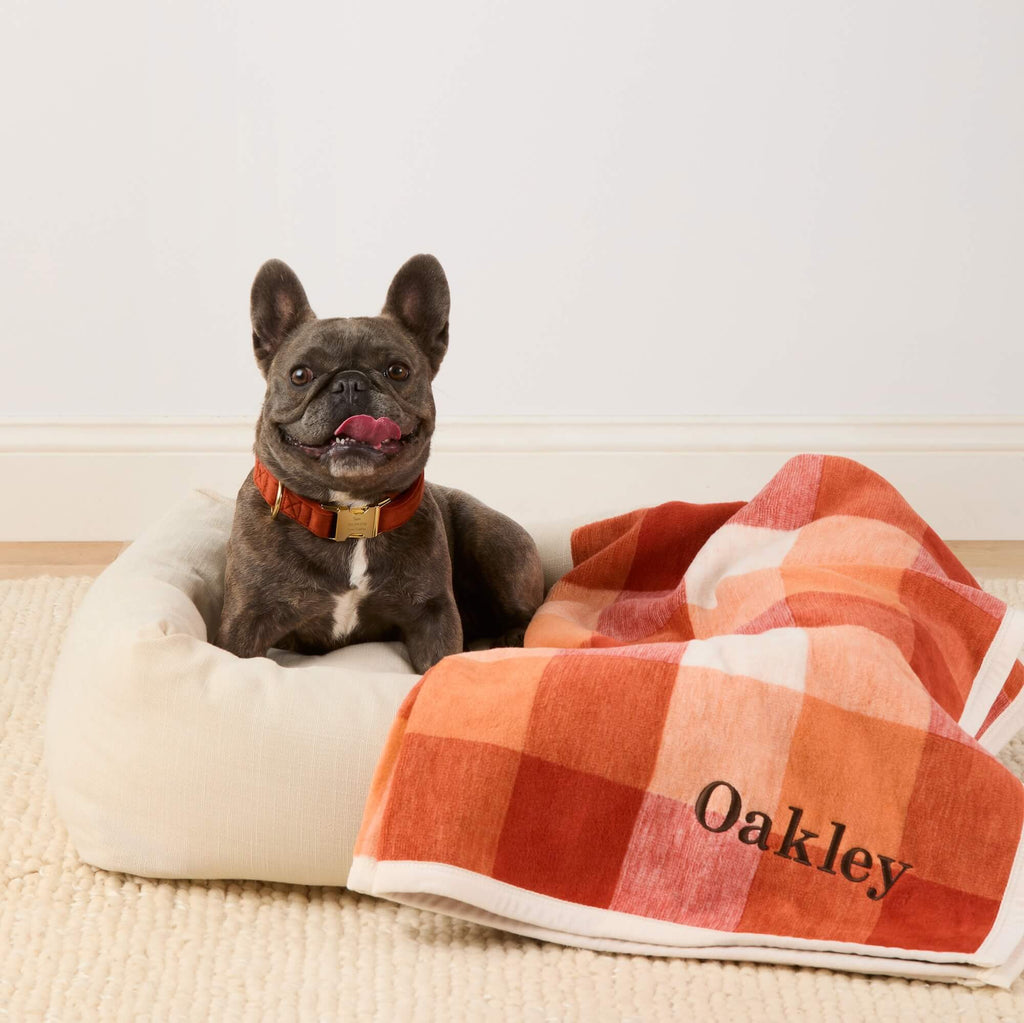 Oatmeal Bolster Dog Bed