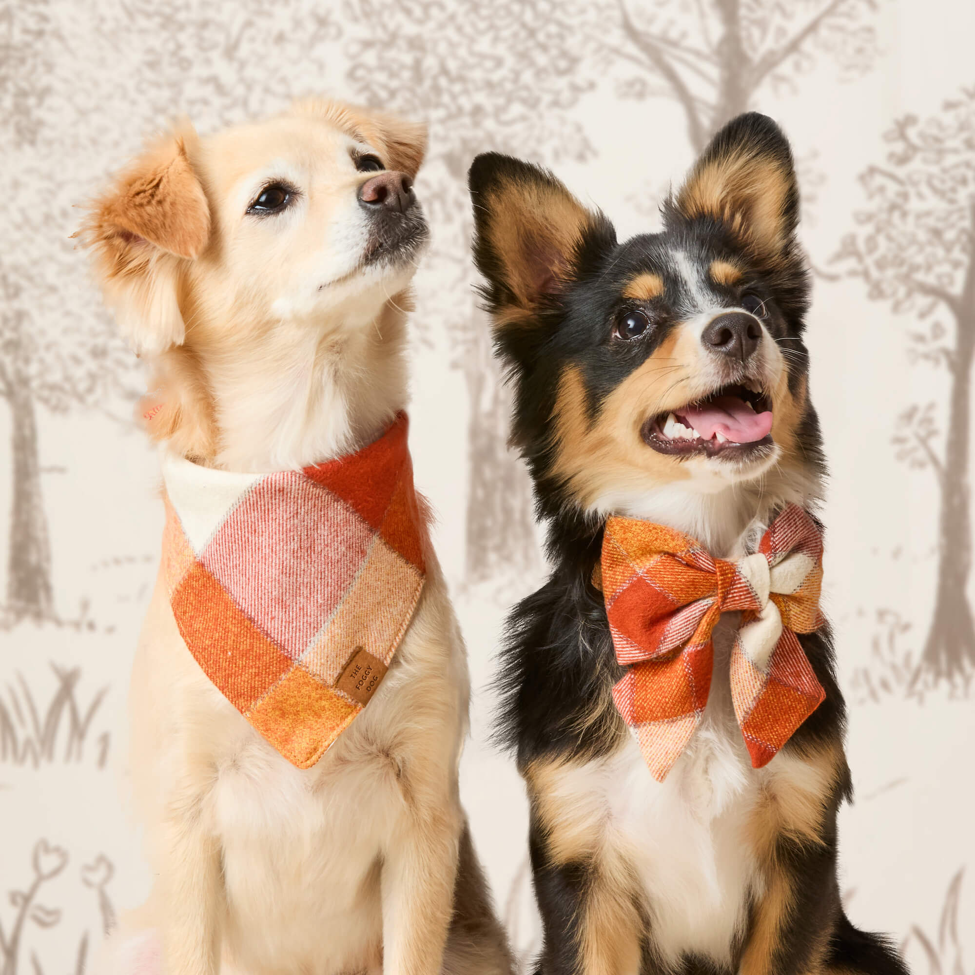 Pumpkin Spice Plaid Flannel Dog Bandana