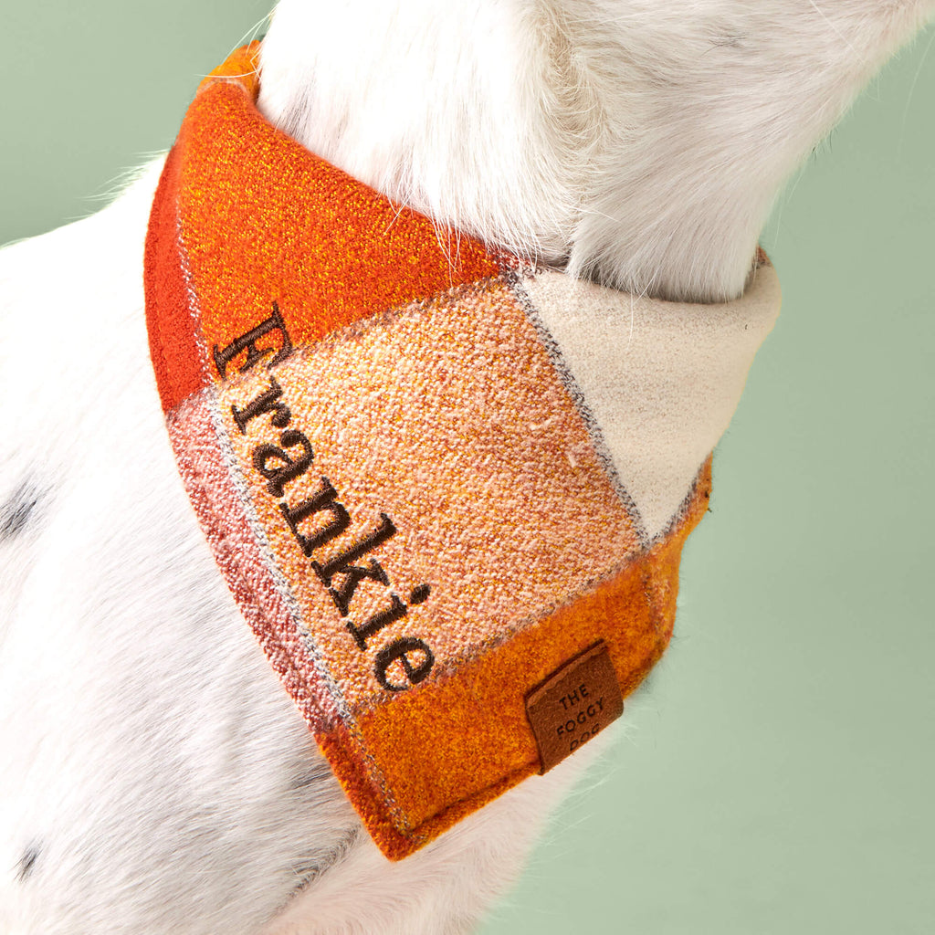 Pumpkin Spice Plaid Flannel Dog Bandana