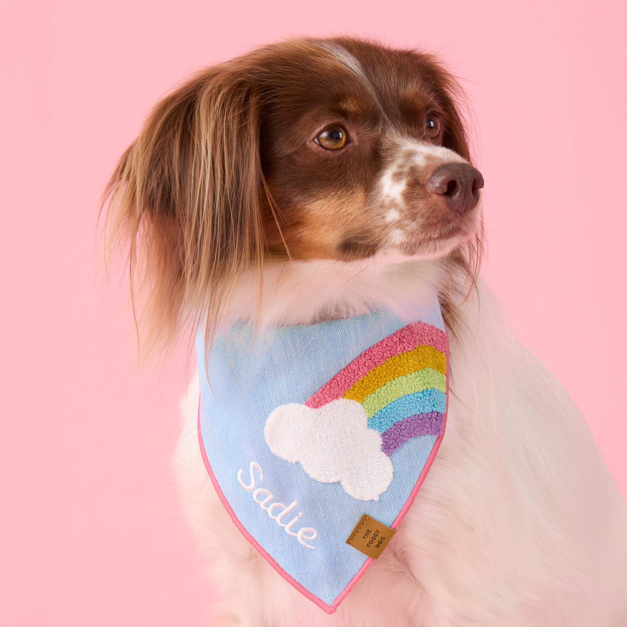 Rainbow Applique Dog Bandana