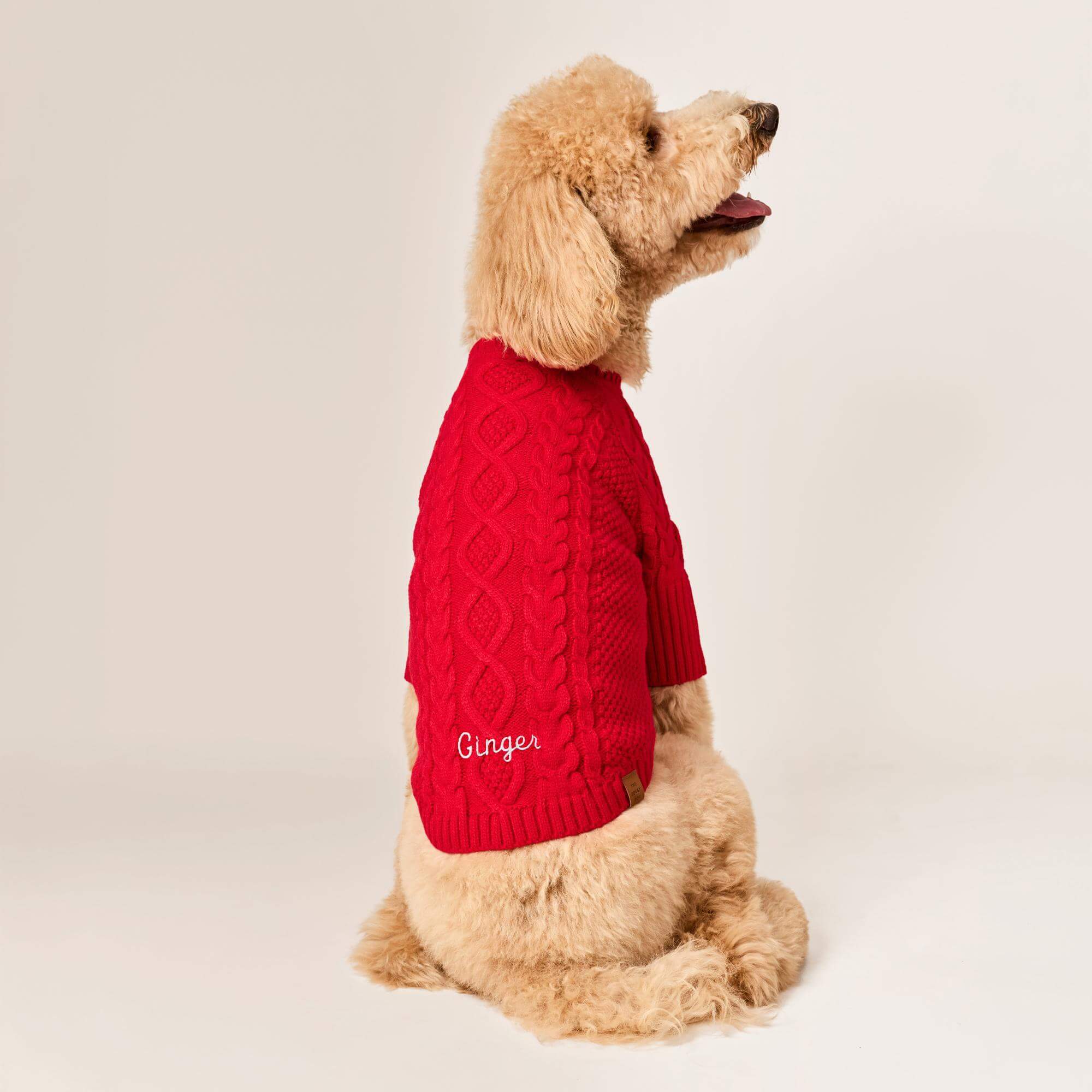 Red Cable Knit Dog Sweater