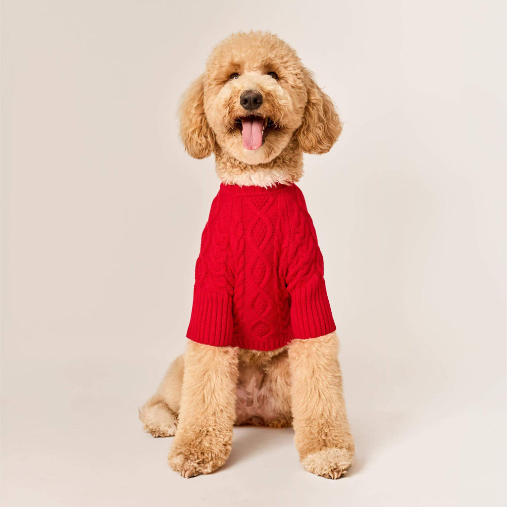 Red Cable Knit Dog Sweater