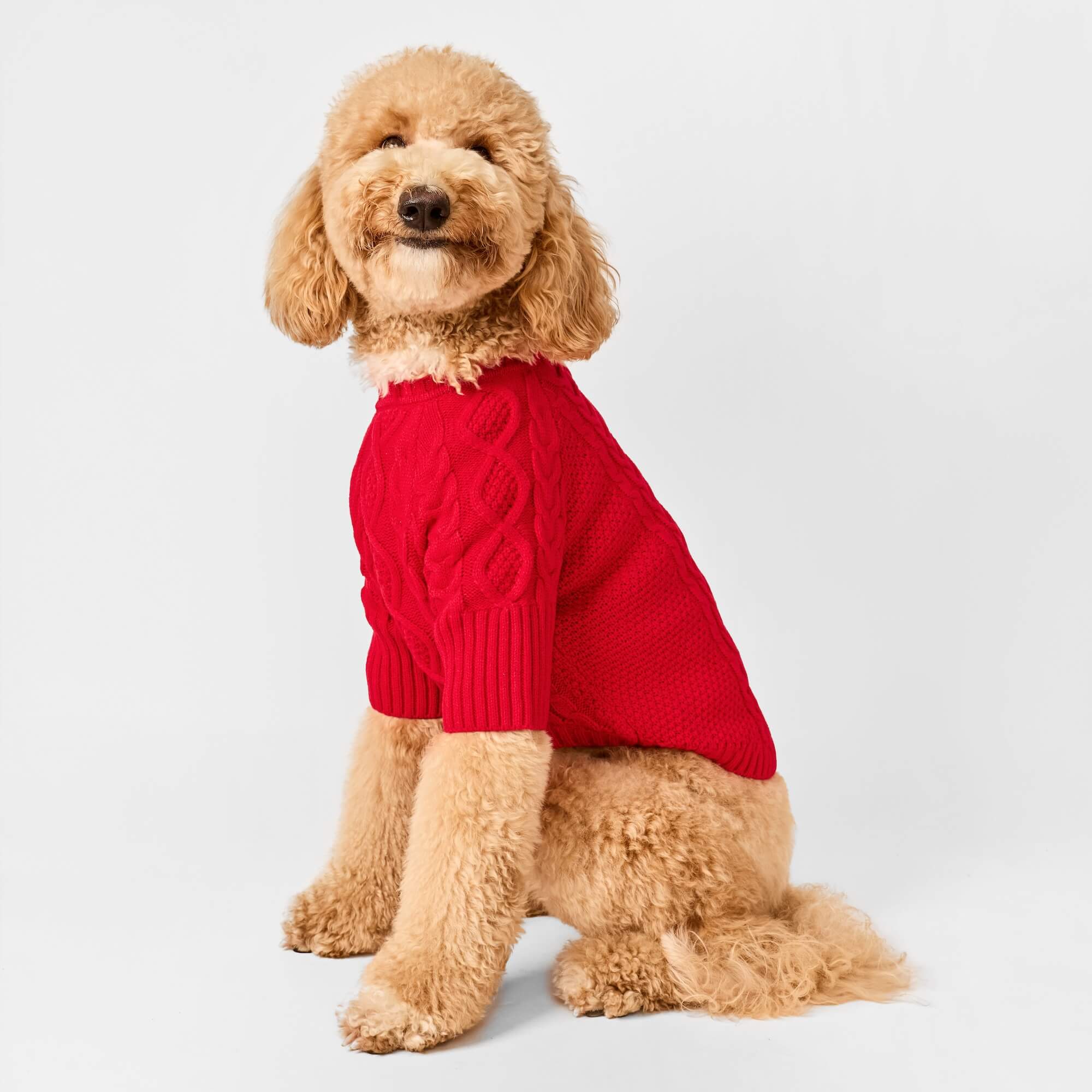 Red Cable Knit Dog Sweater