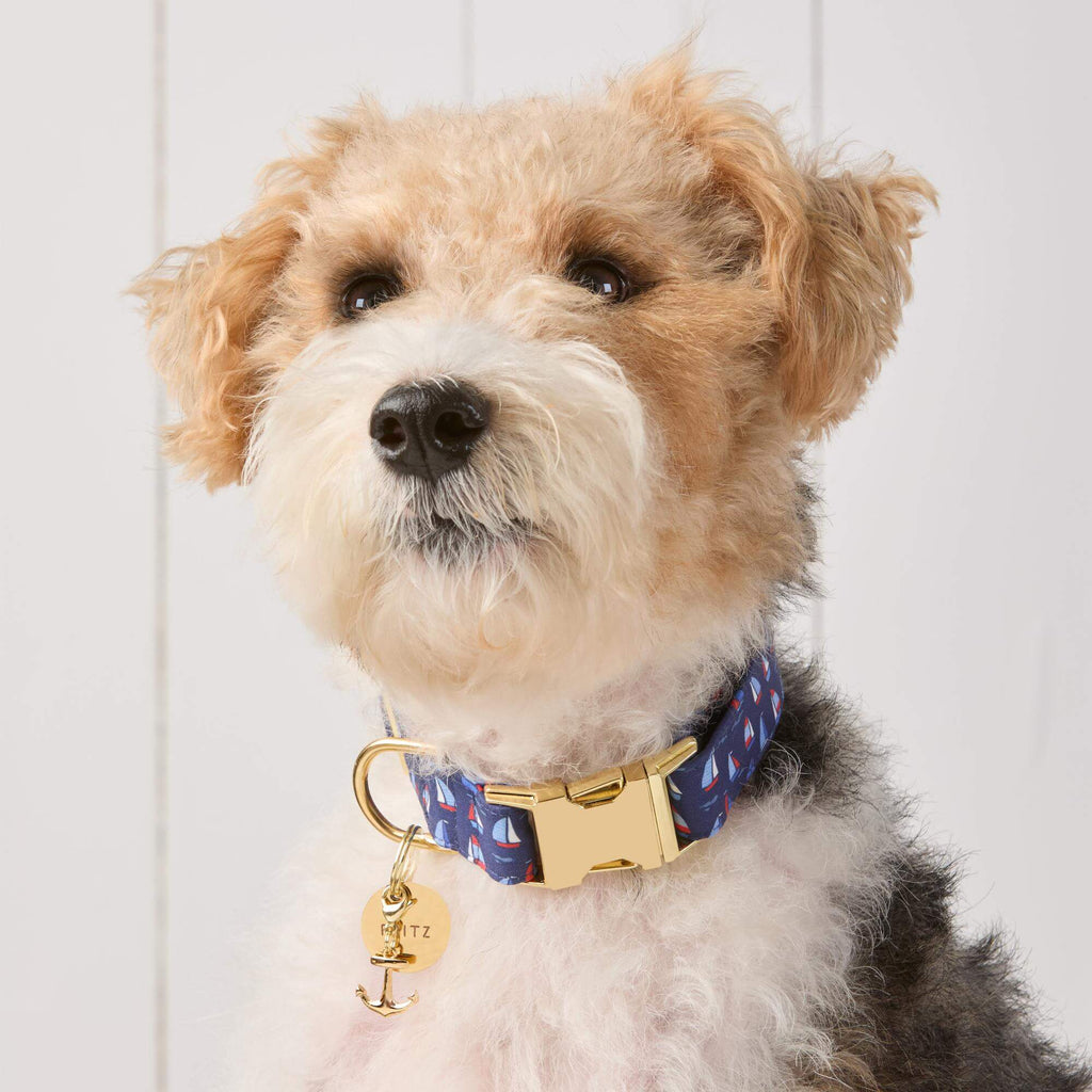 Regatta Collar Walk Set