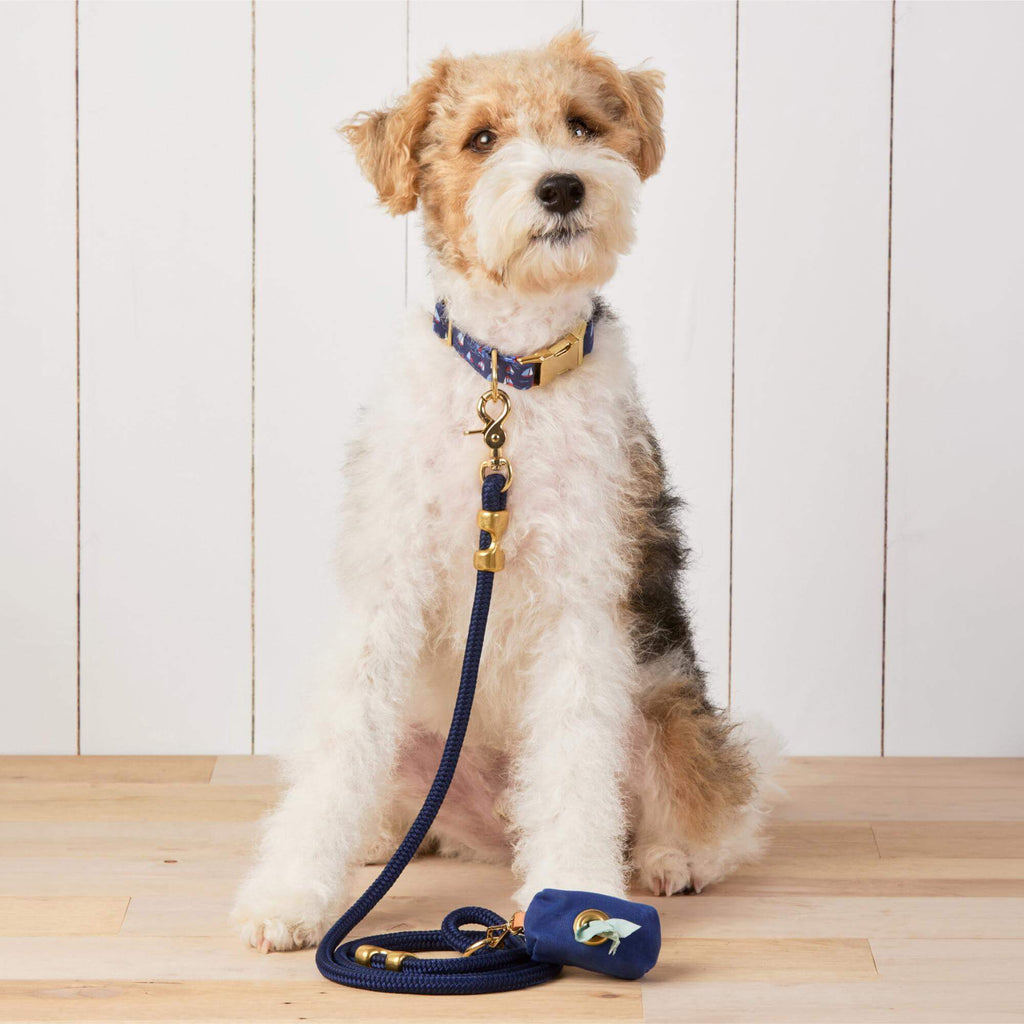 Regatta Collar Walk Set