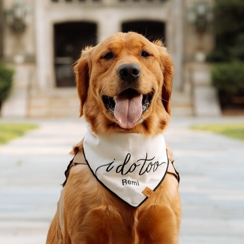 I Do Too Embroidered Dog Bandana