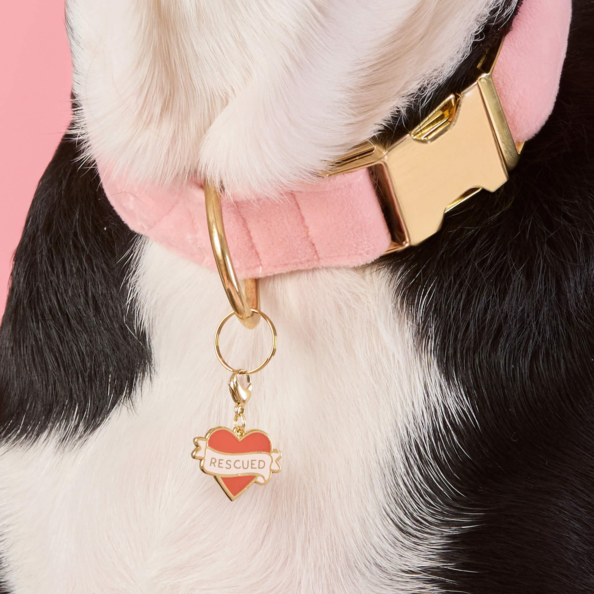 Rescued With Love Collar Charm