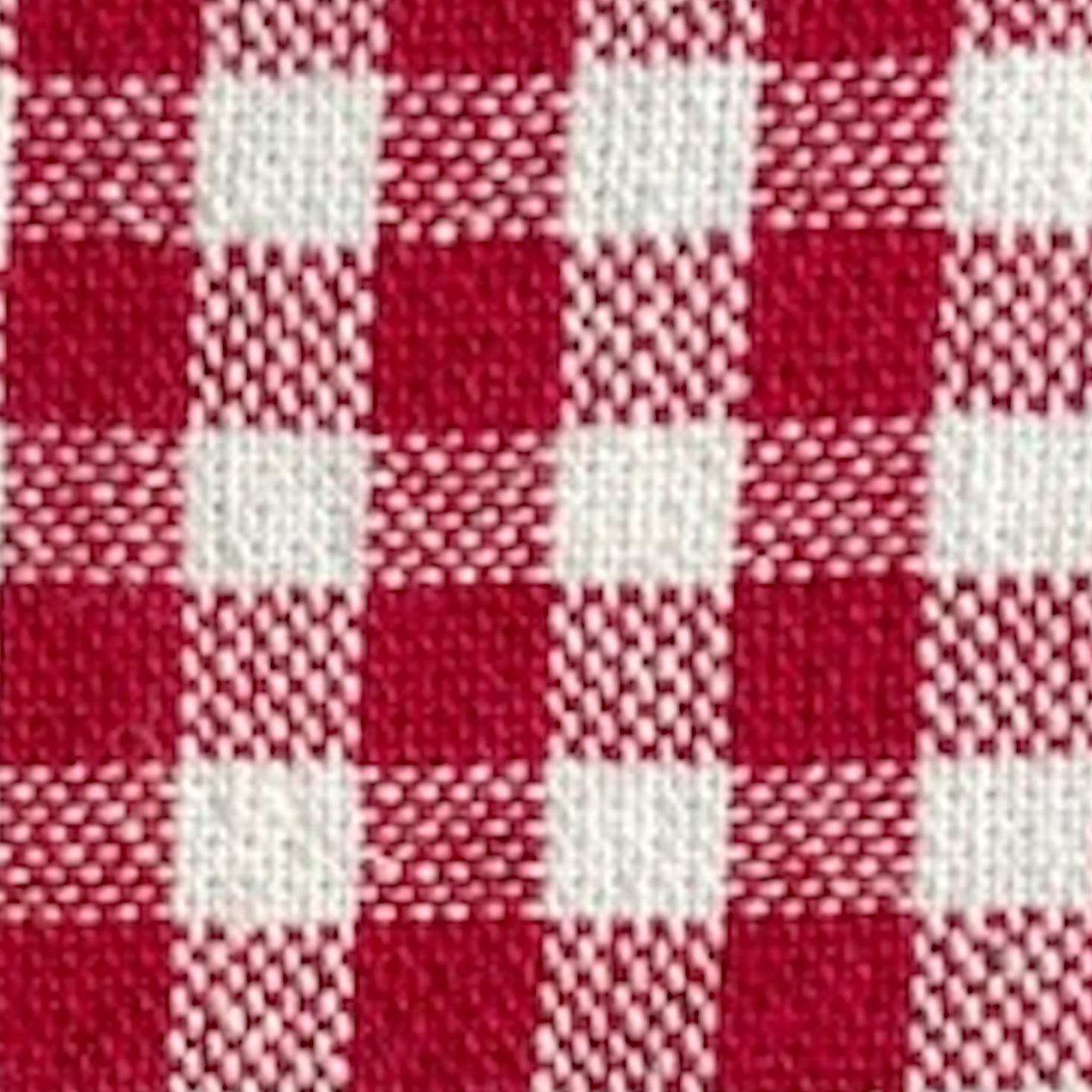 Red Gingham Harness Walk Set