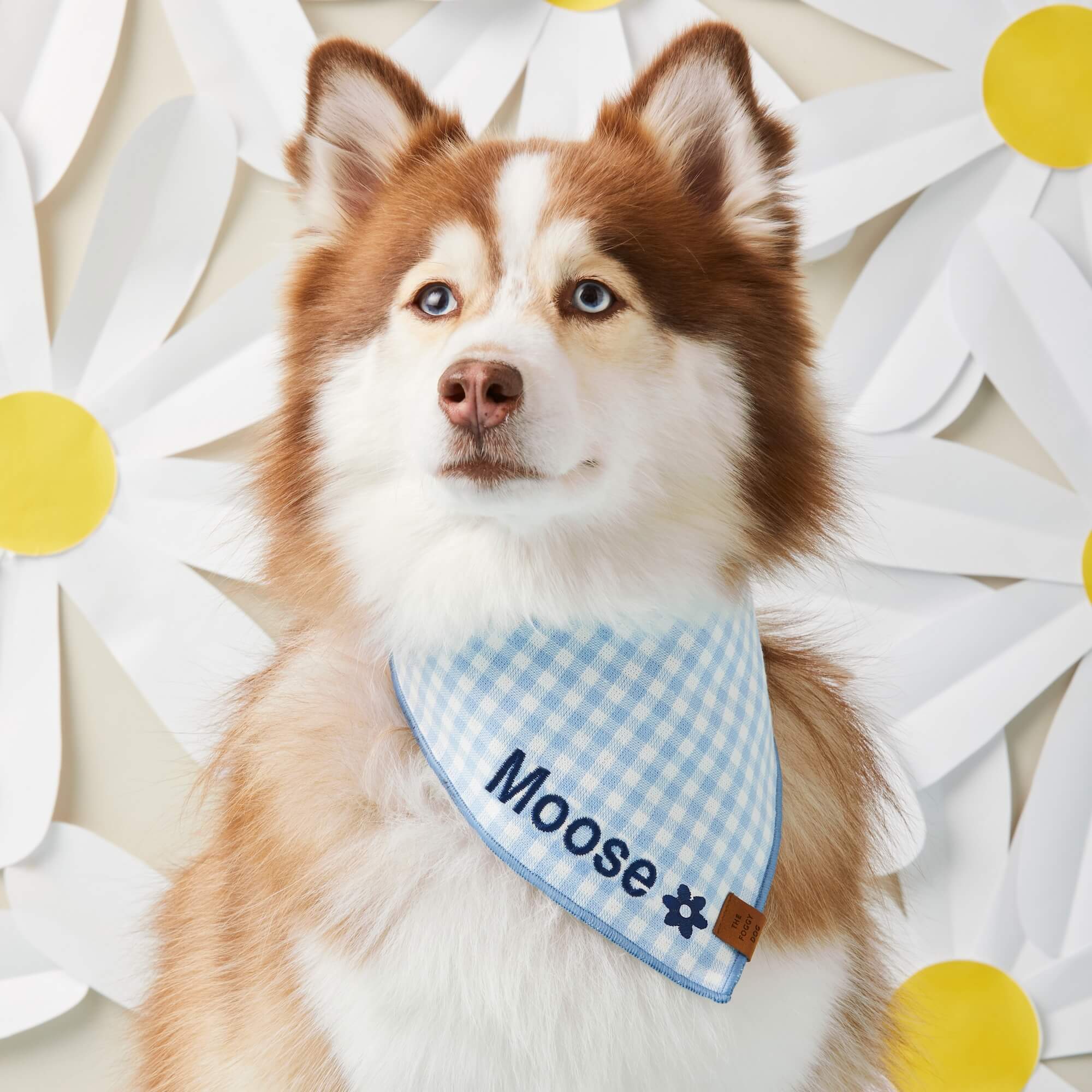 Sky Blue Gingham Dog Bandana