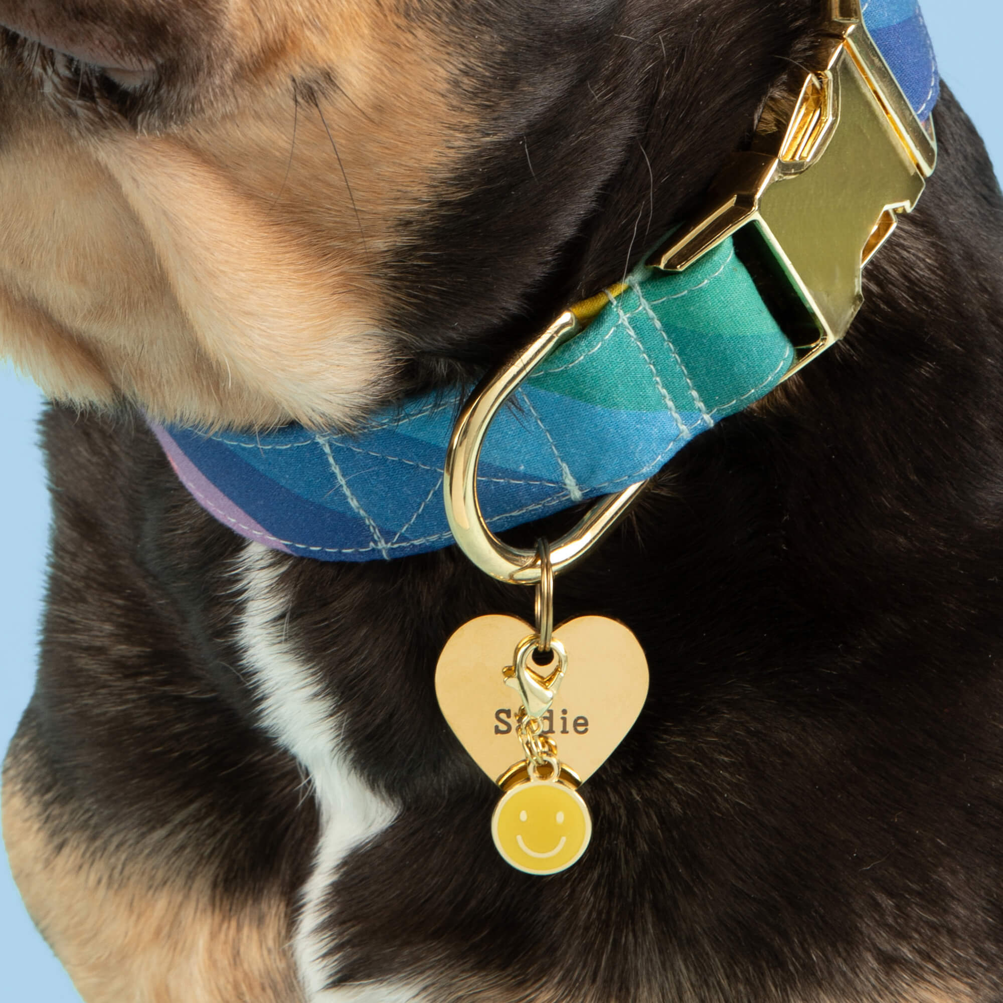 Happy Face Collar Charm