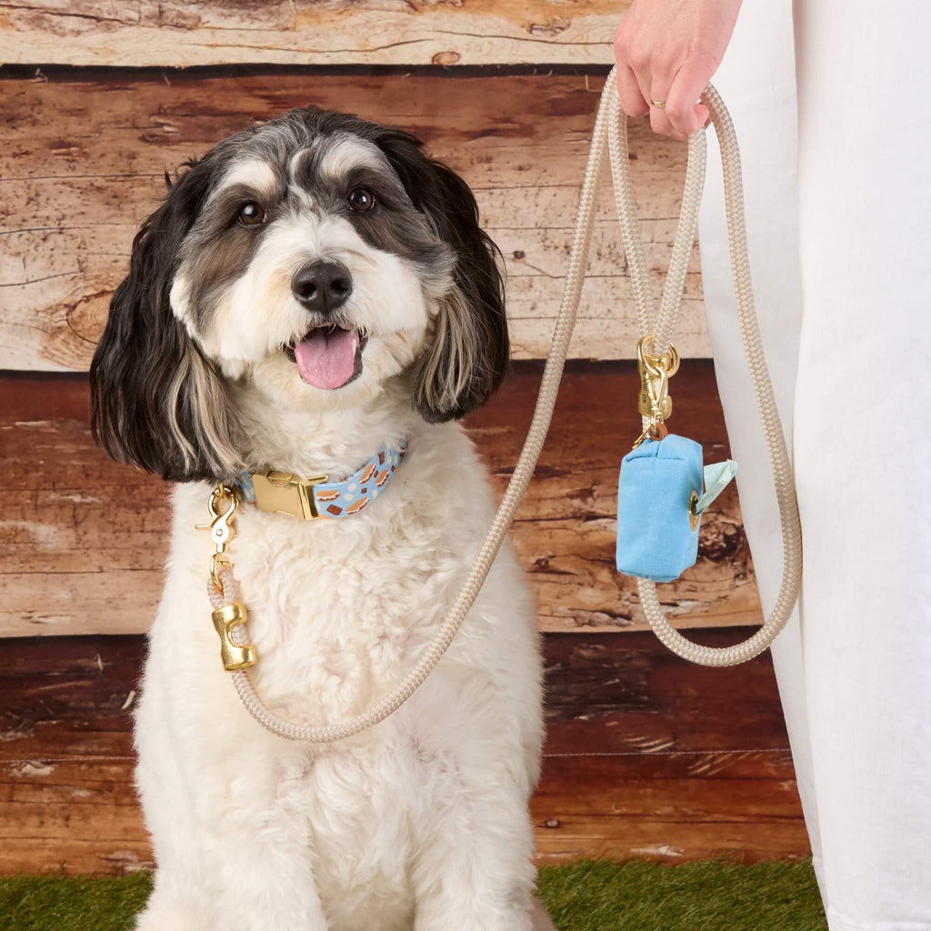 S’more to Love Dog Collar