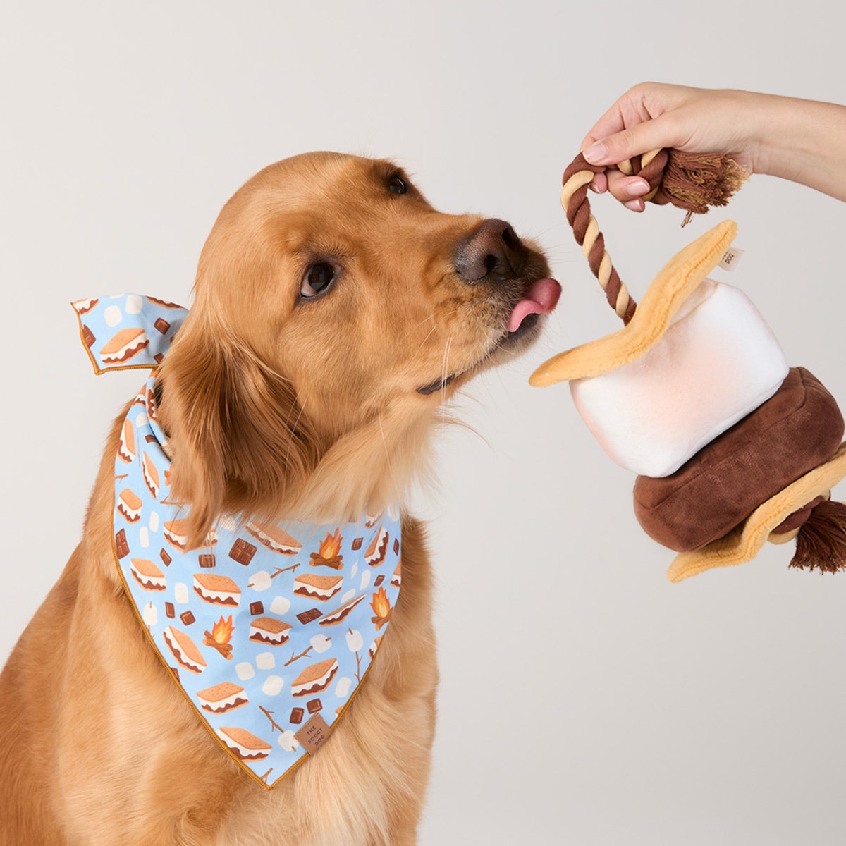 S’more Interactive Snuffle Dog Toy