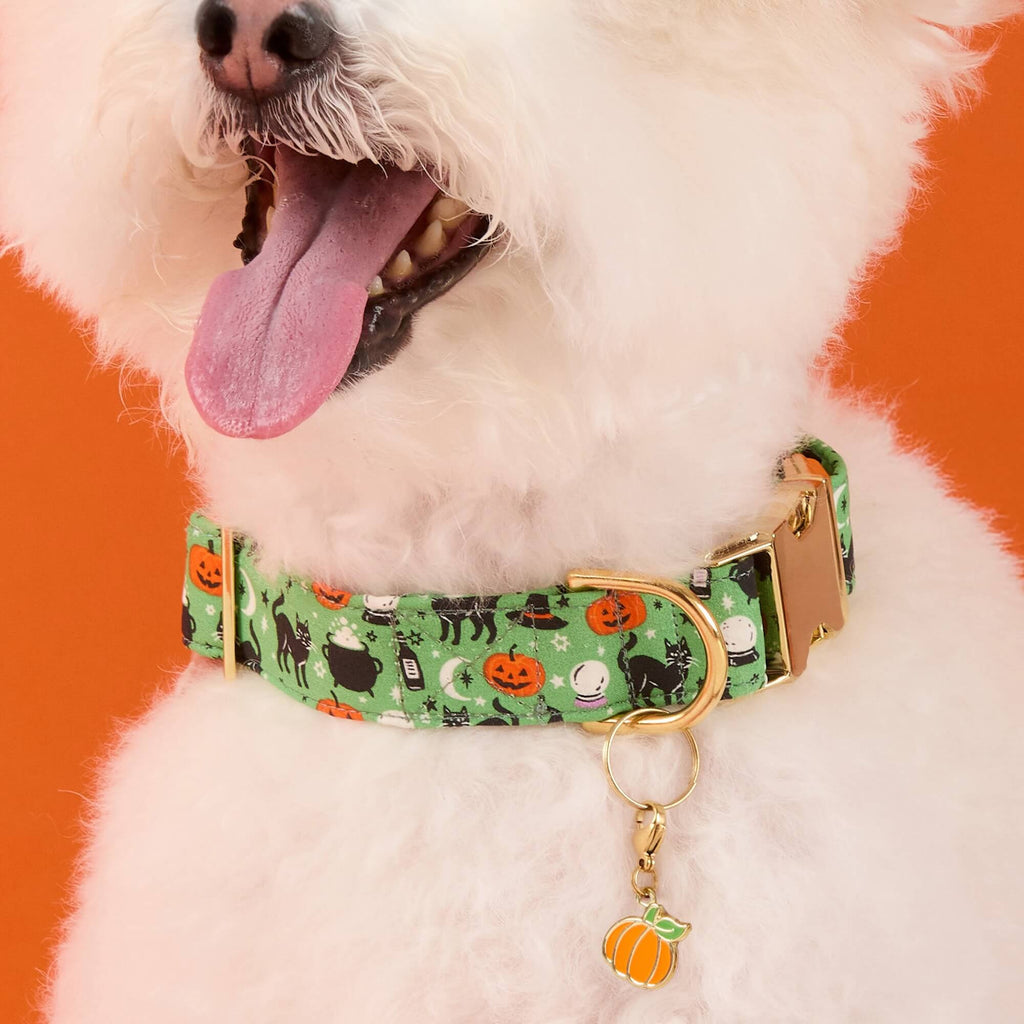 Spellbound Dog Collar