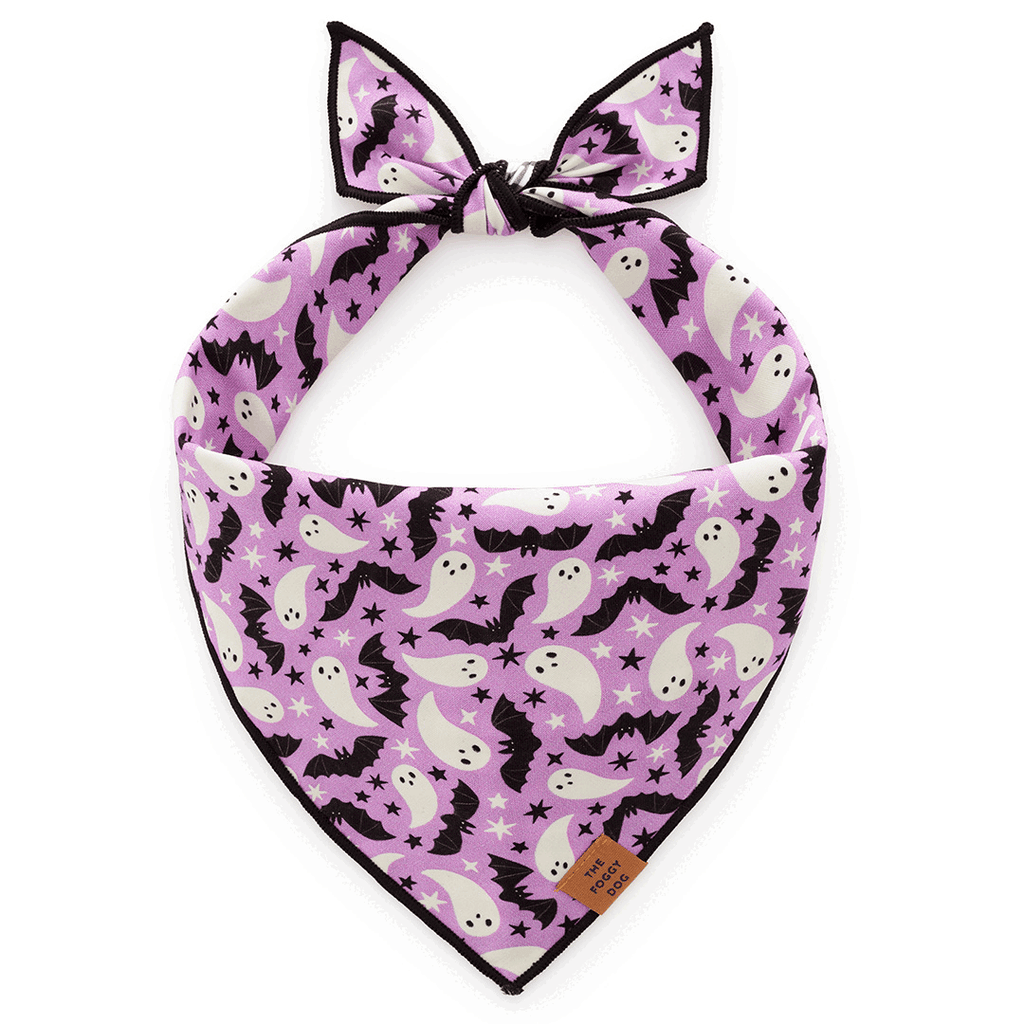 Spooky Season Reversible Dog Bandana