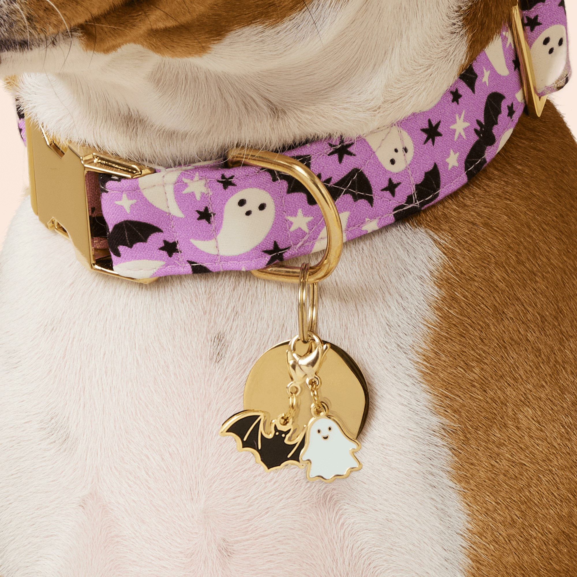 Spooky Season Collar Charm Set