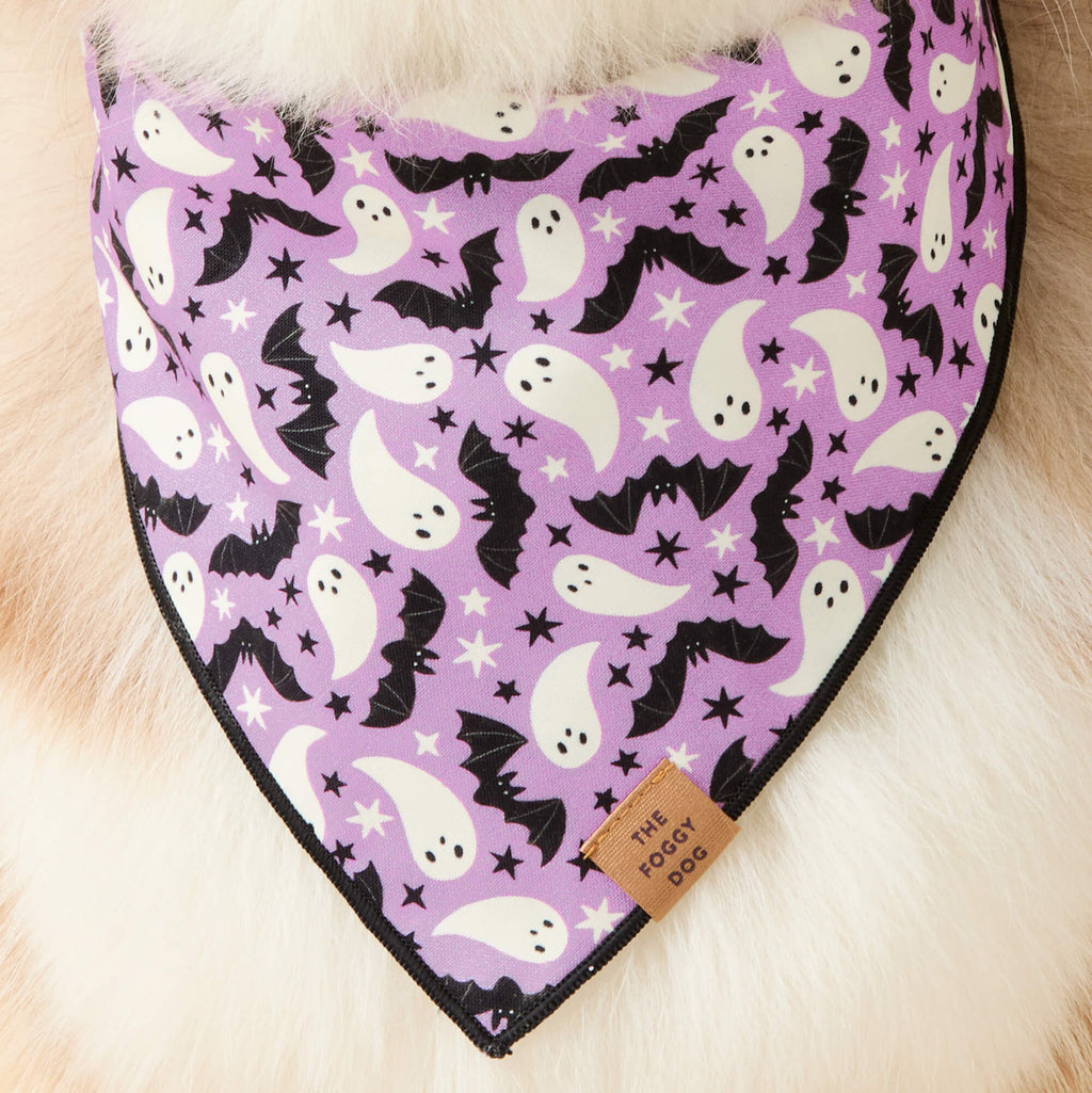 Spooky Season Reversible Dog Bandana