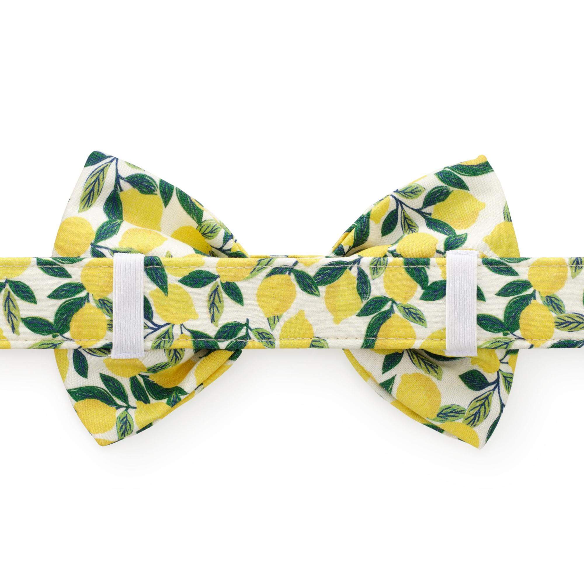 Lemon Zest Bow Tie Collar
