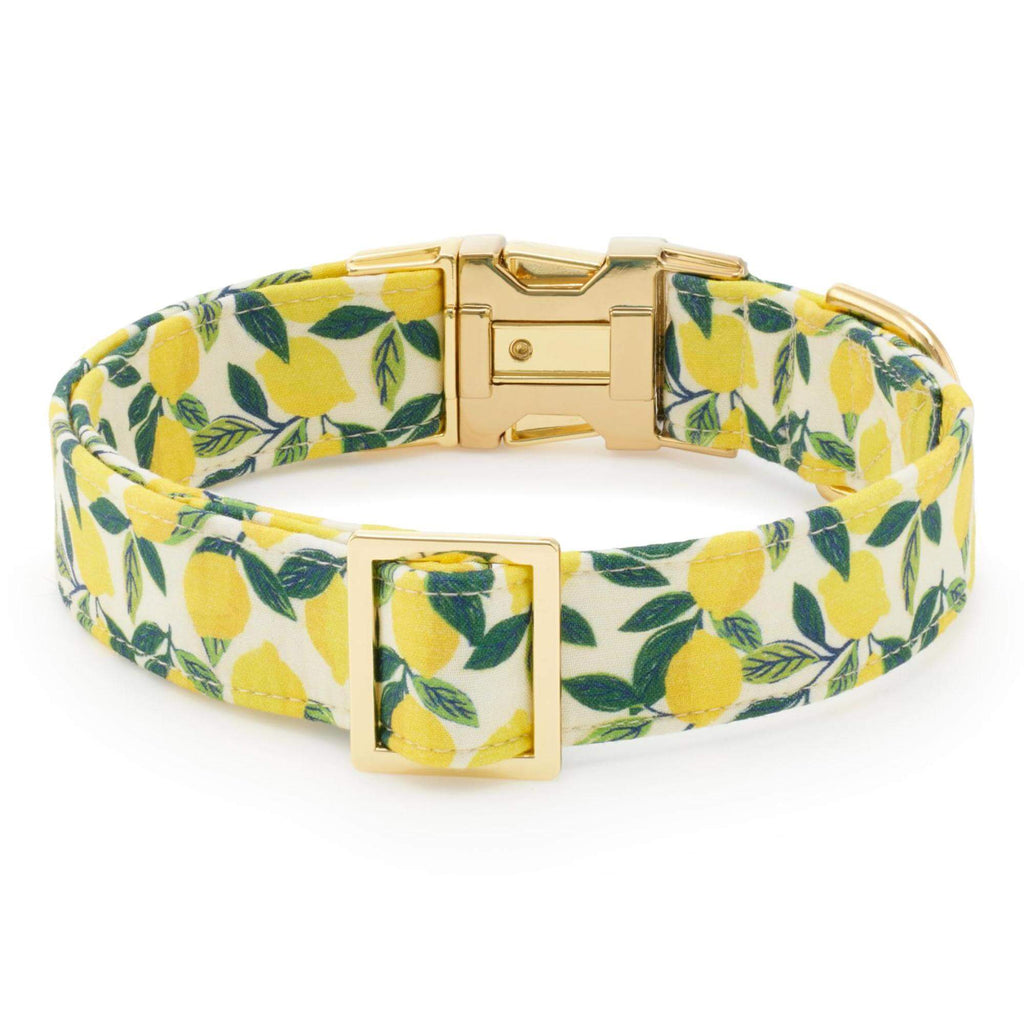 Lemon Zest Dog Collar