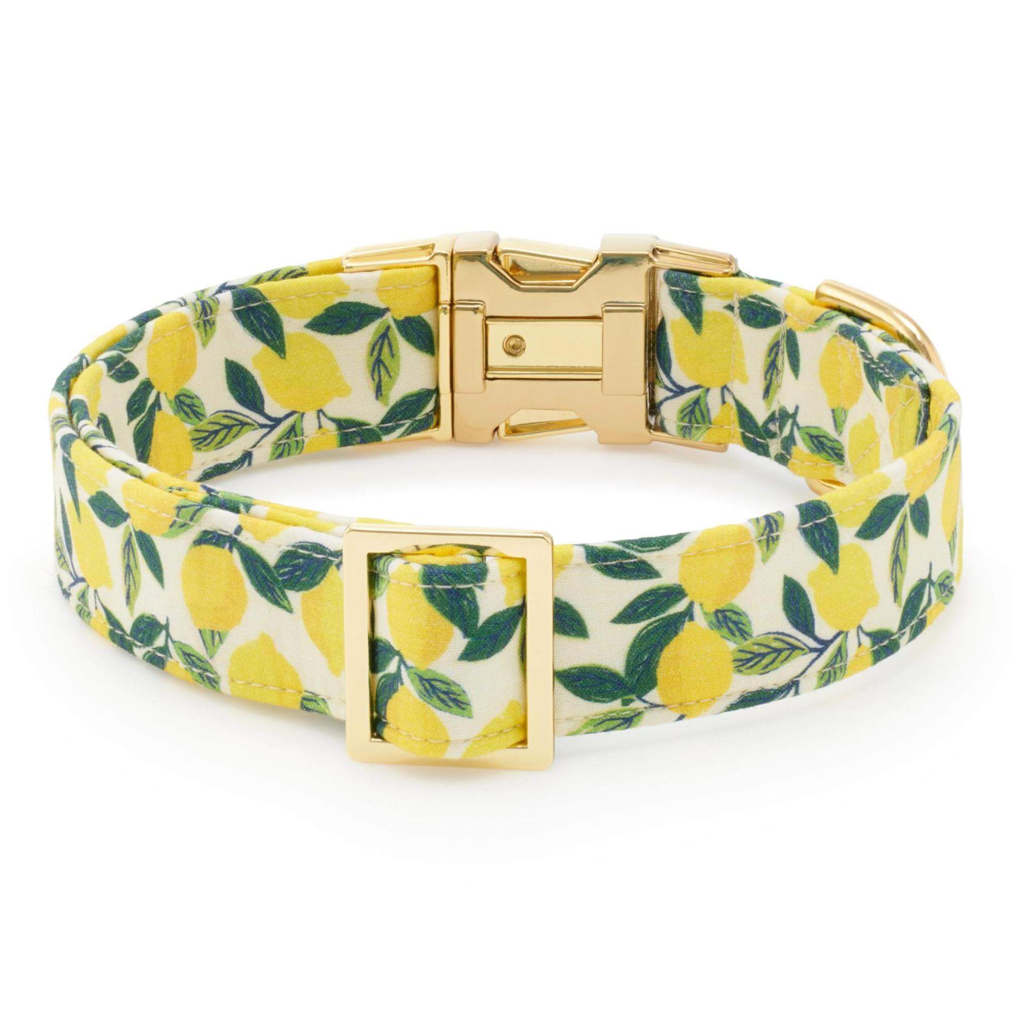 Lemon Zest Dog Collar